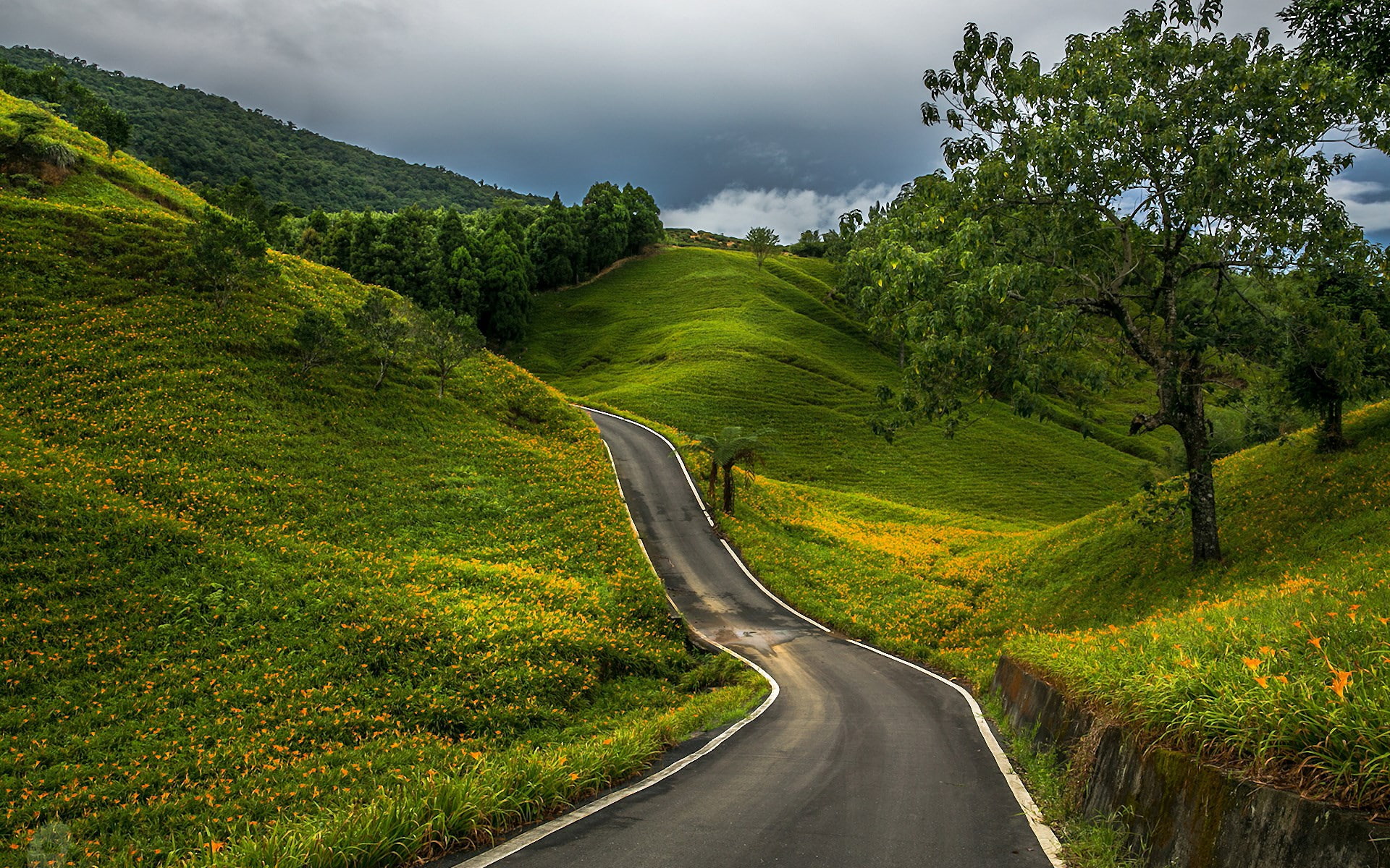 country road, hill, landscape, no people, road trip, grass, road, green color, plant, beauty in nature, non-urban scene, direction, nature, cloud - sky, HD Wallpaper