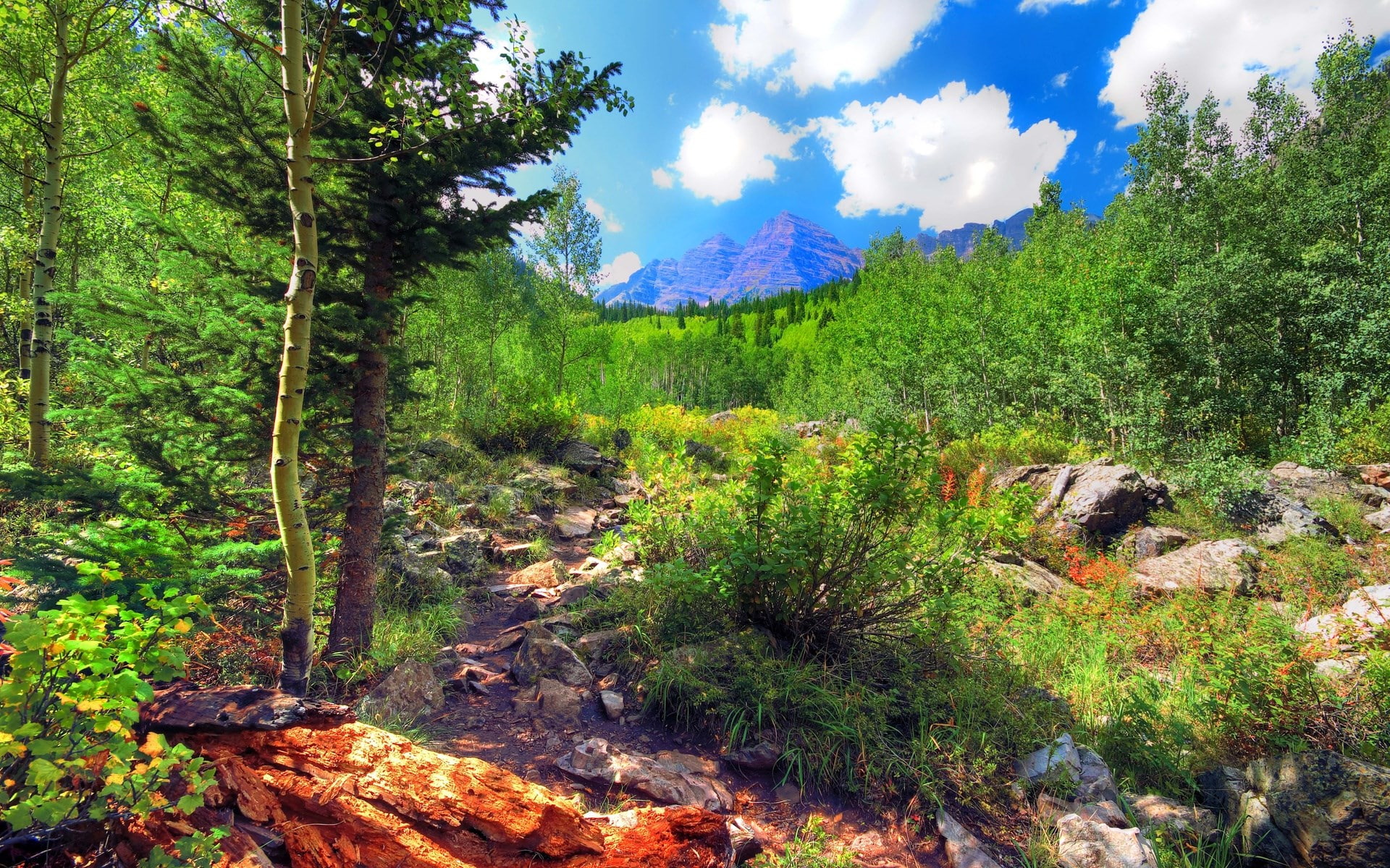 1080P, computer  desktop background hd nature images 1920x1200, HD Wallpaper