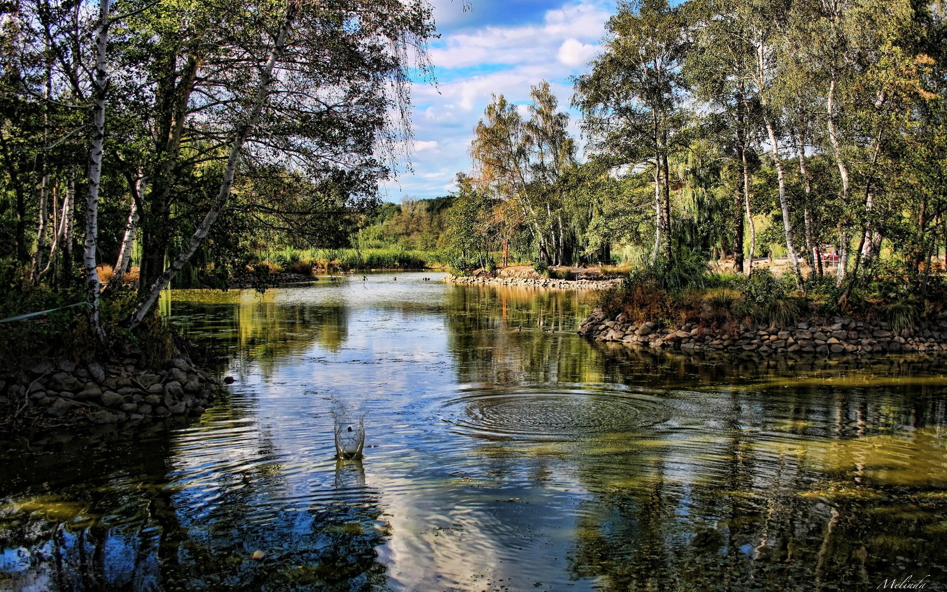 1080P, computer desktop backgrounds hd nature 1920x1200, HD Wallpaper