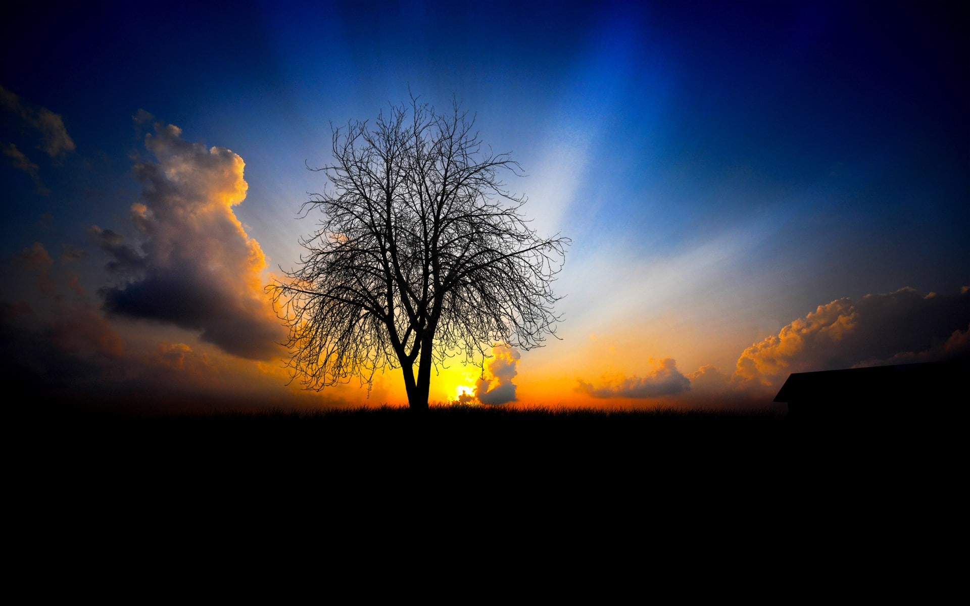 1080P, computer  desktop background hd nature pics 1920x1200, HD Wallpaper