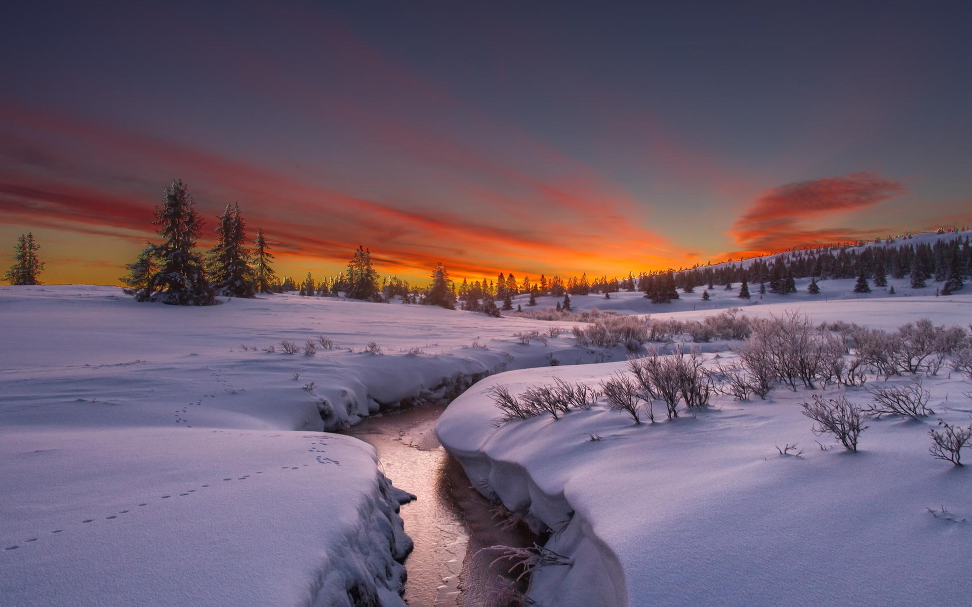 1080P, landscape, tranquil scene, covering, snowcapped mountain, nature screen backgrounds 1920x1200, winter, powder snow, sky, field, non-urban scene, HD Wallpaper