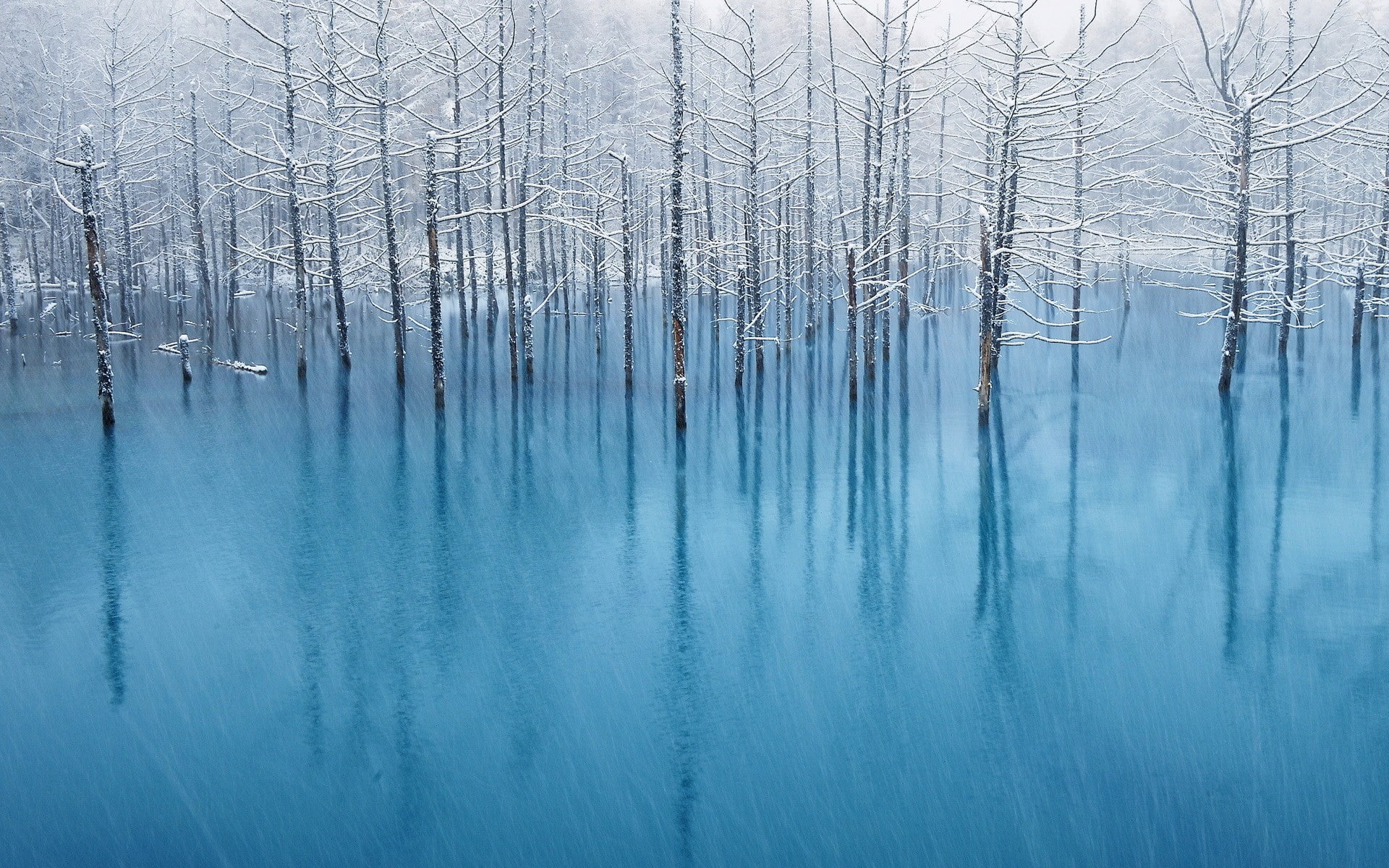 1080P, full hd 1080p nature  desktop backgrounds hd 1920x1200, HD Wallpaper