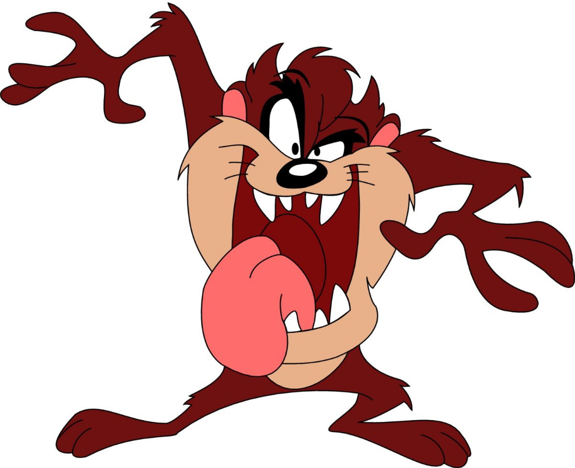 tasmanian, looney, devil, 1080P, taz, HD Wallpaper