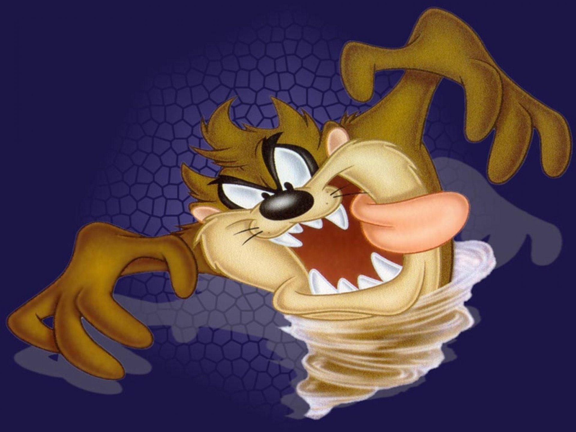 1080P, Looney Tunes, Tasmanian Devil (Looney Tunes), TV Show, HD Wallpaper