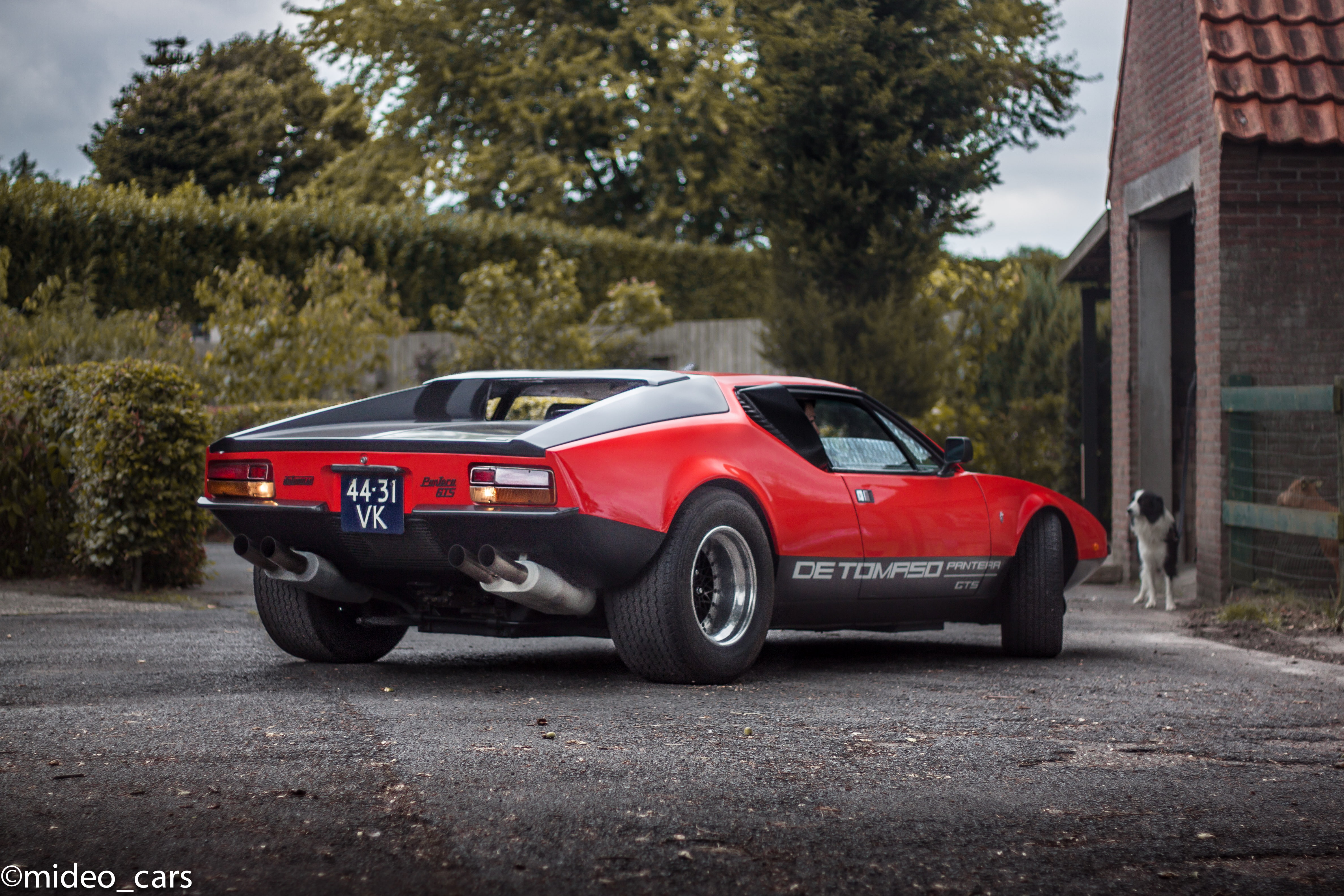 gts, 4K, pantera, detomaso, HD Wallpaper