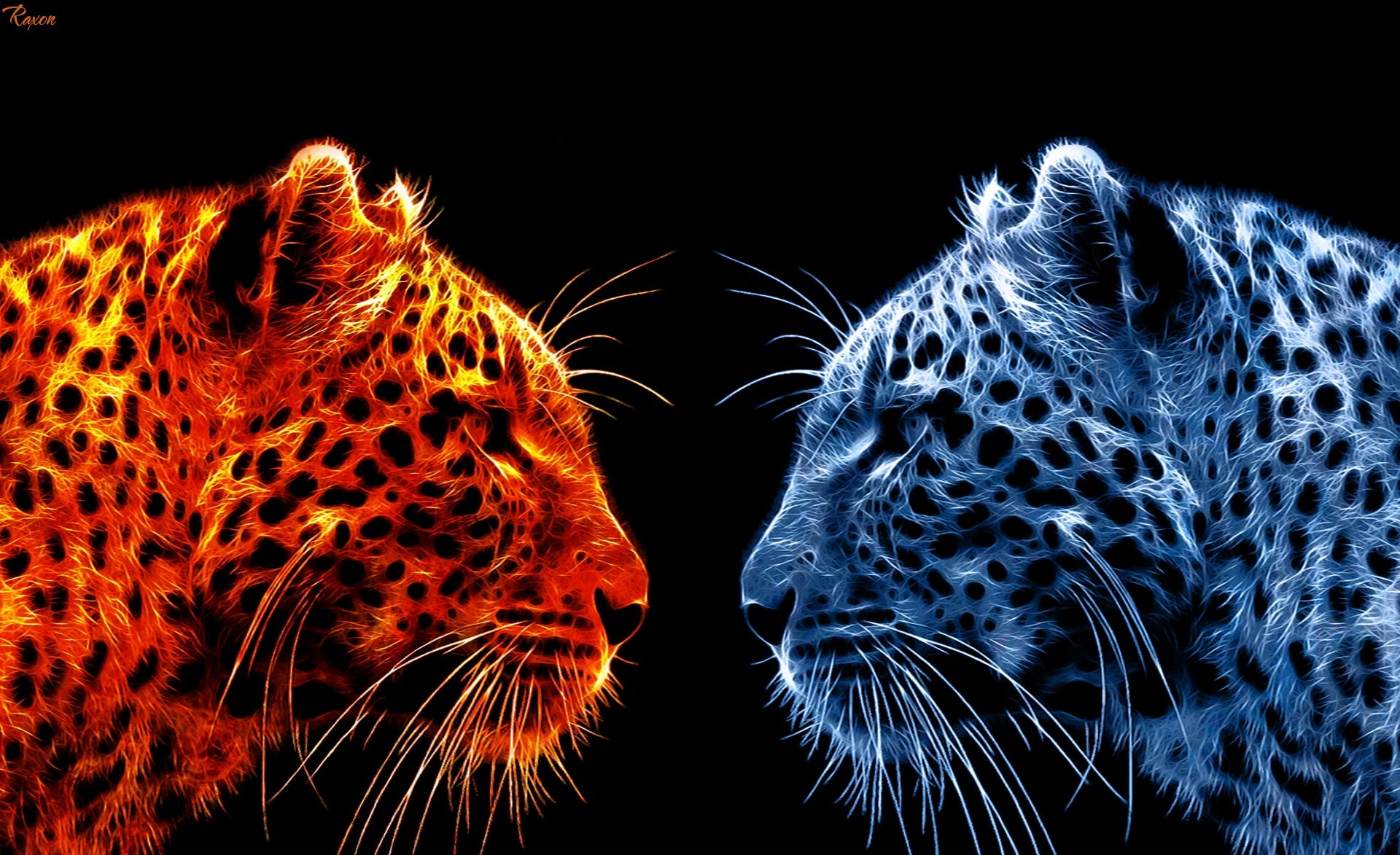 indoors, animal body part, digital composite, Black, 1080P, animals in the wild, cat, cheetahs, studio shot, animal head, animal themes, mammal, vs, animal, HD Wallpaper