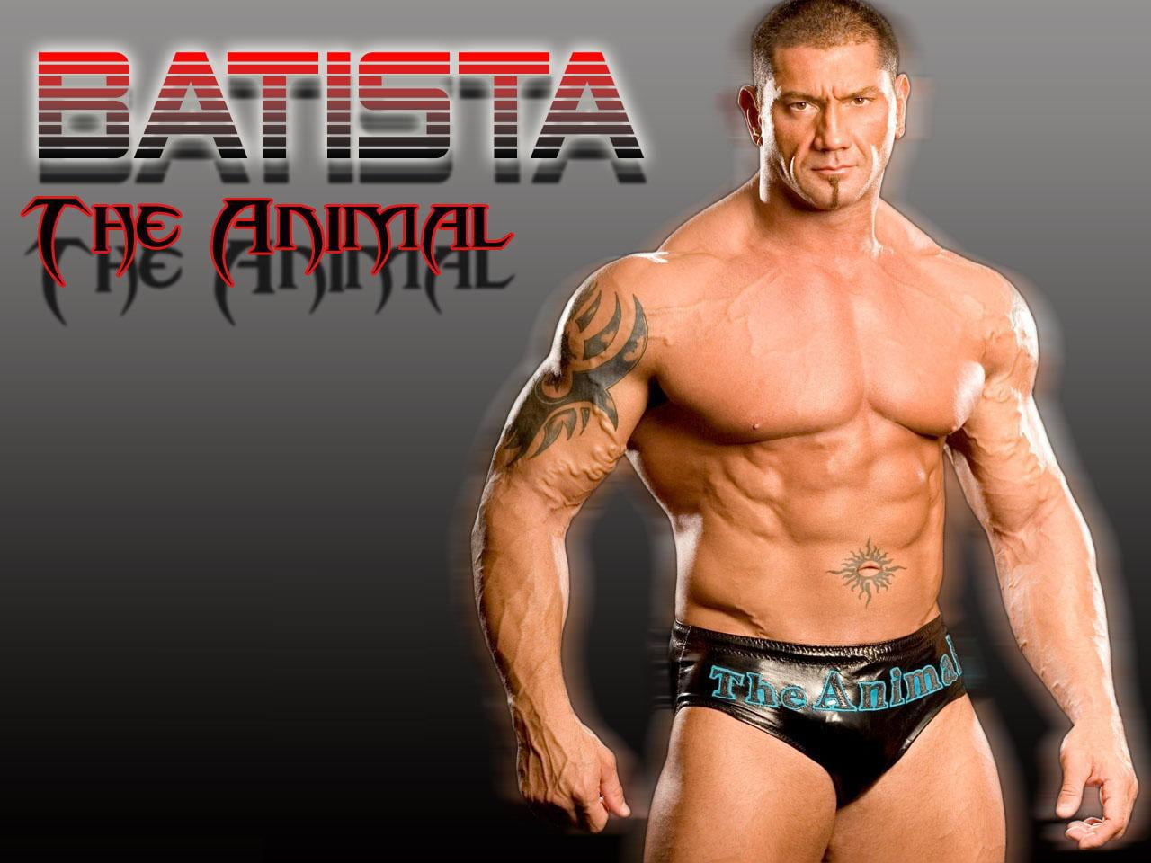 lifestyles, shirtless, sport, one person, males, athlete, studio shot, batista, wwe champion, exercising, super star, strength, front view, abdominal muscle, HD Wallpaper