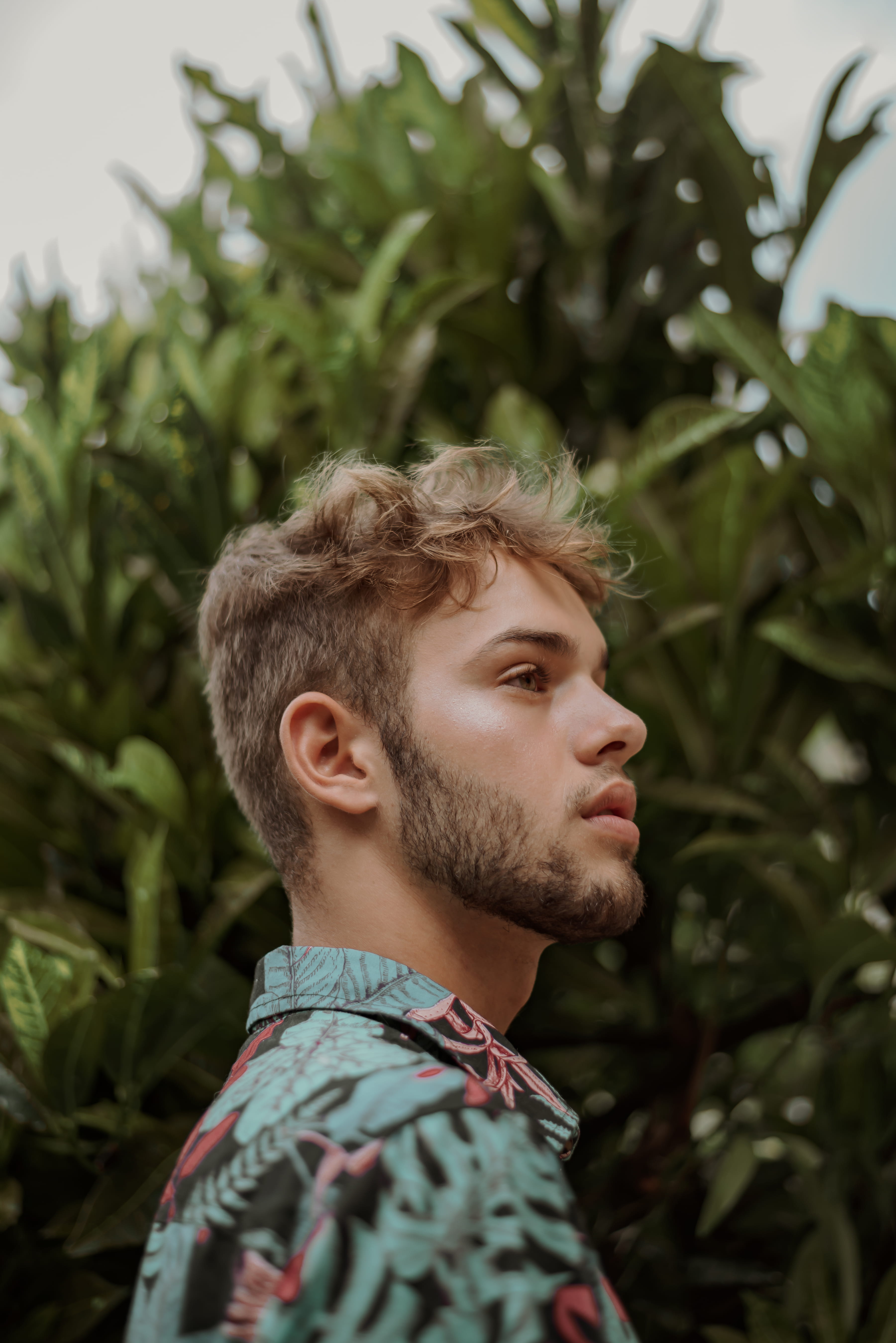 daytime, side view, facial hair, leaf, plant, hairstyle, 5K, male, contemplation, focus, human, leisure activity, plant part, casual, eye, headshot, looking away, Phone HD Wallpaper