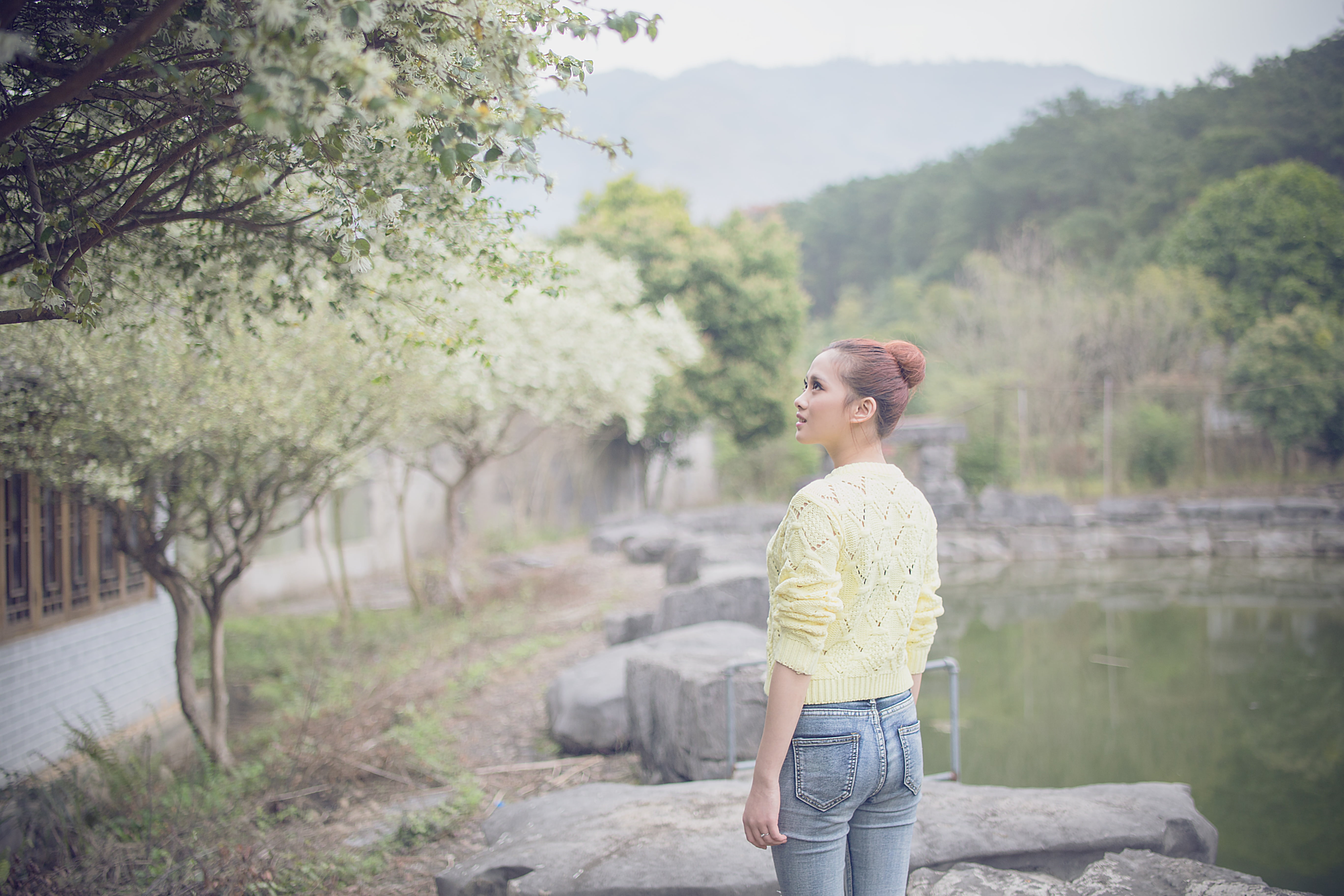 one Person, woman, lifestyles, sweater, looking away, looking, standing, flowering tree, real people, lake, mountain green, the lake house, water, clean background, HD Wallpaper