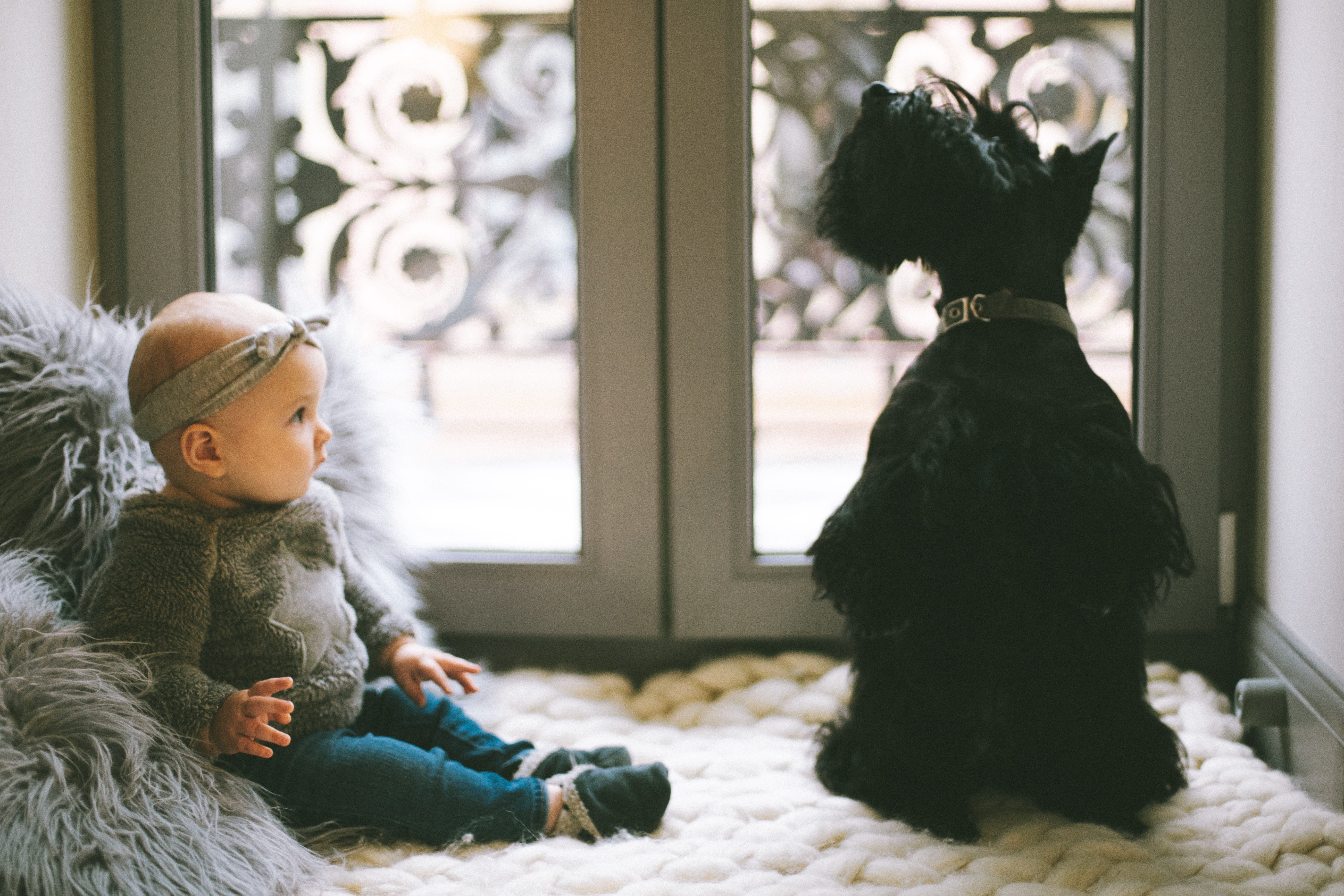 sitting, focus on foreground, terrier, room, window, females, dog, baby, women, hairstyle, warm clothing, beside, 5K, innocence, pet, people, childhood, HD Wallpaper