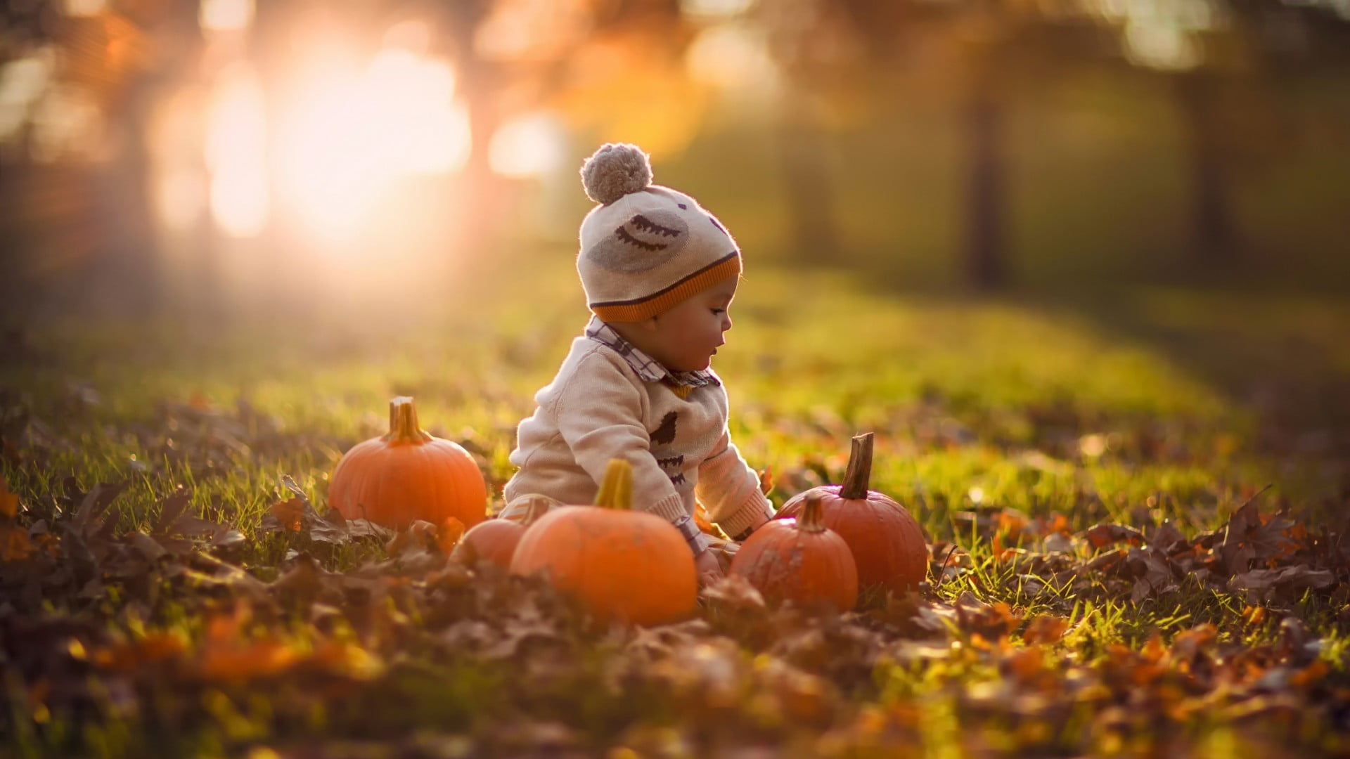 gray, nature, young, offspring, baby Girls, white, s, cheerful, full length, season, yellow, small, joy, magic Trick, halloween, food, smiling, child, one person, HD Wallpaper