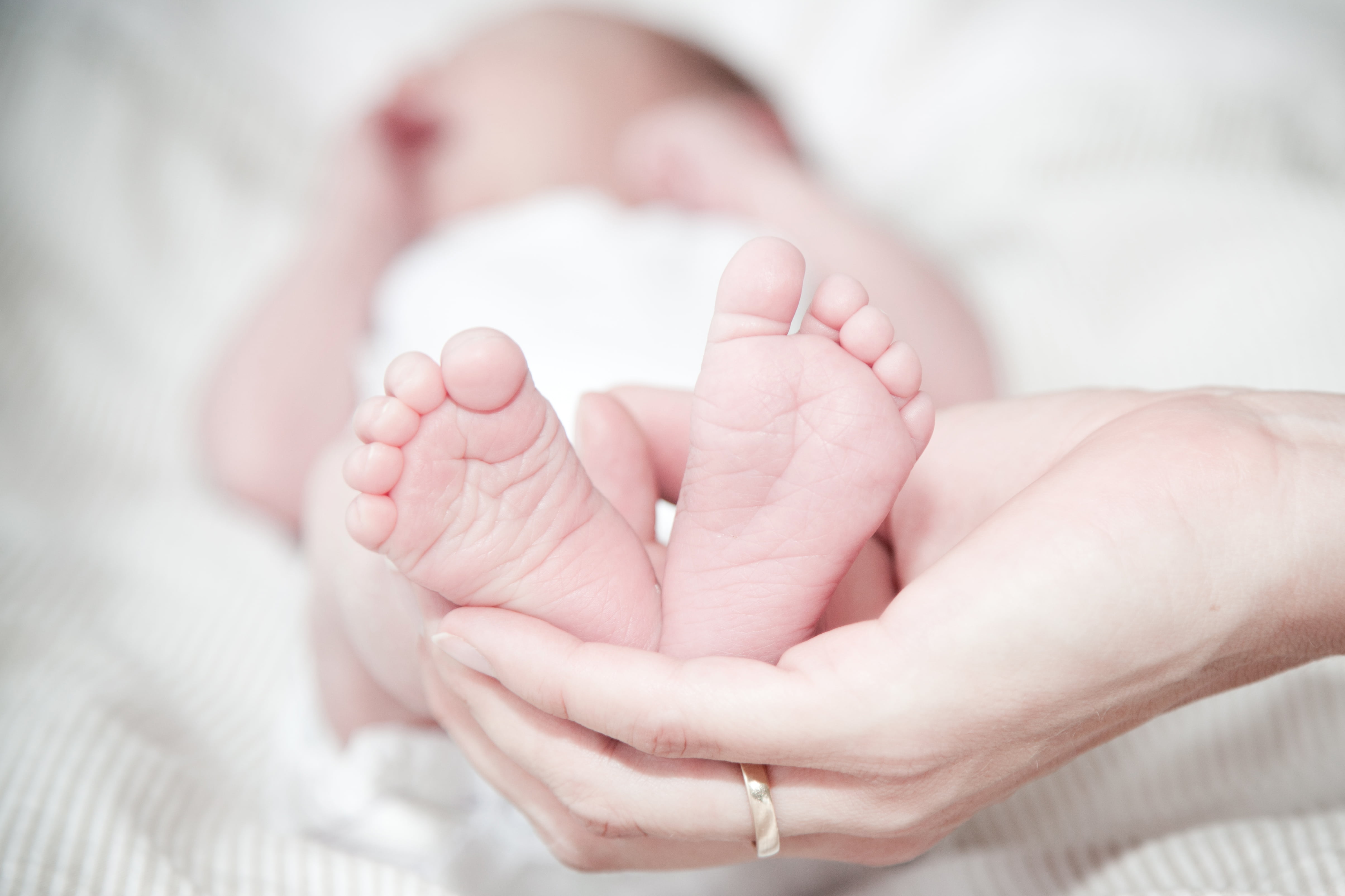 feet, little, human hand, young, tiny, baby feet, human body part, small, love, barefoot, holding, childhood, new life, child, woman, close-up, delicate, HD Wallpaper