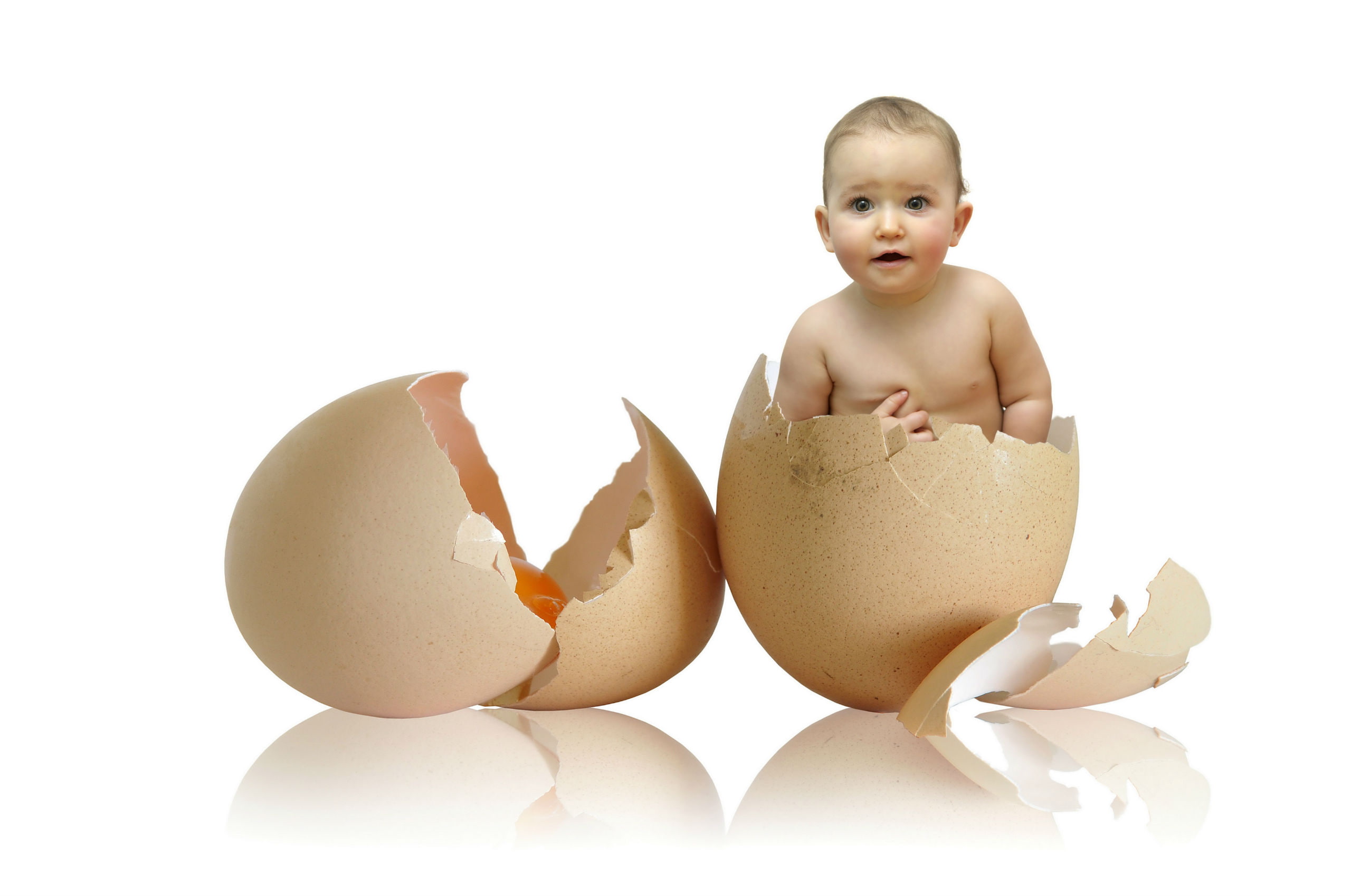 childhood, eggs, cut out, child, still life, food, innocence, egg, baby, children, cracked, close-up, one person, white background, indoors, studio shot, HD Wallpaper