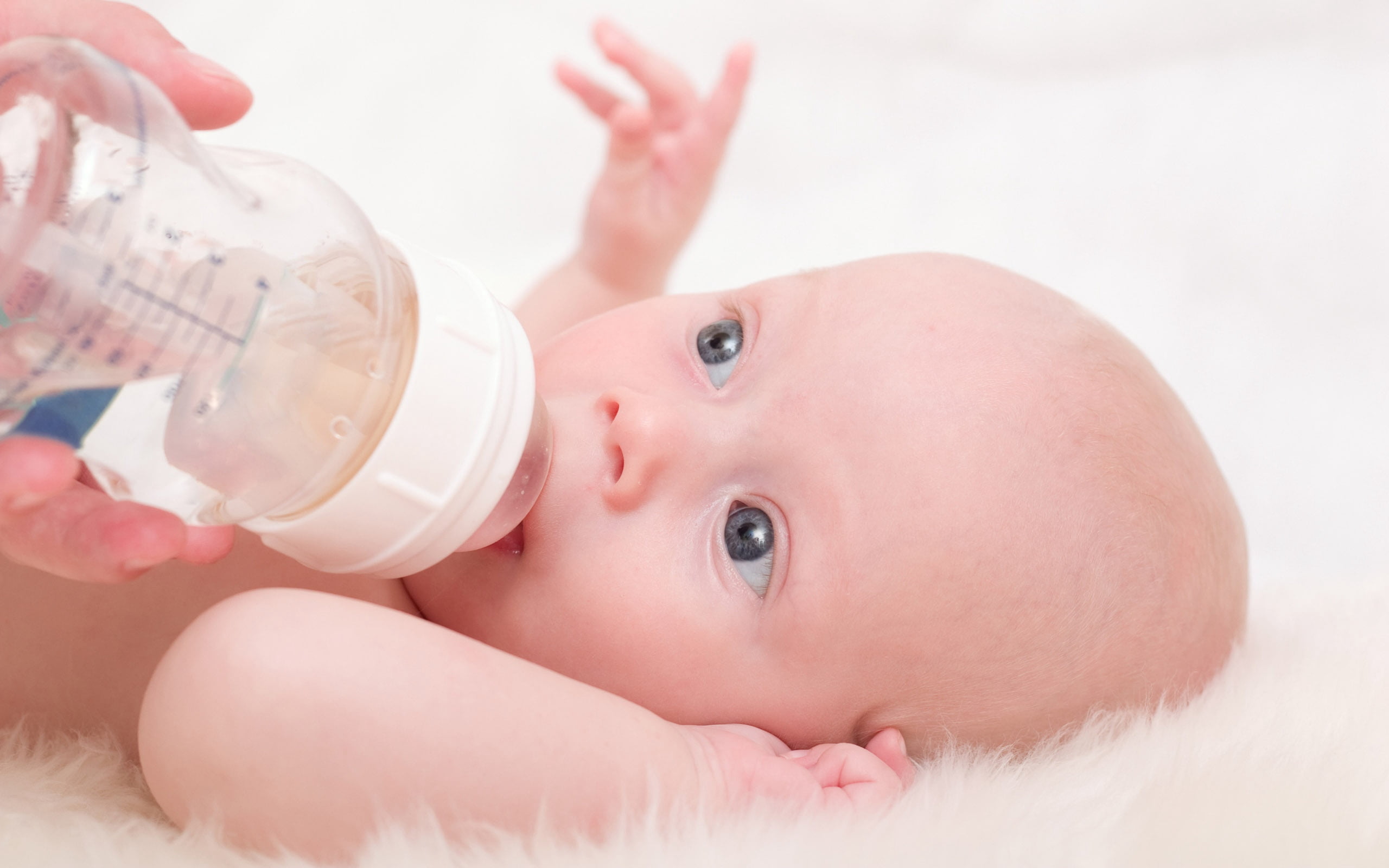 small, baby, baby Girls, human body part, sucking, babies Only, milk Bottle, indoors, one Person, young, drinking, happiness, food, childhood, human limb, HD Wallpaper