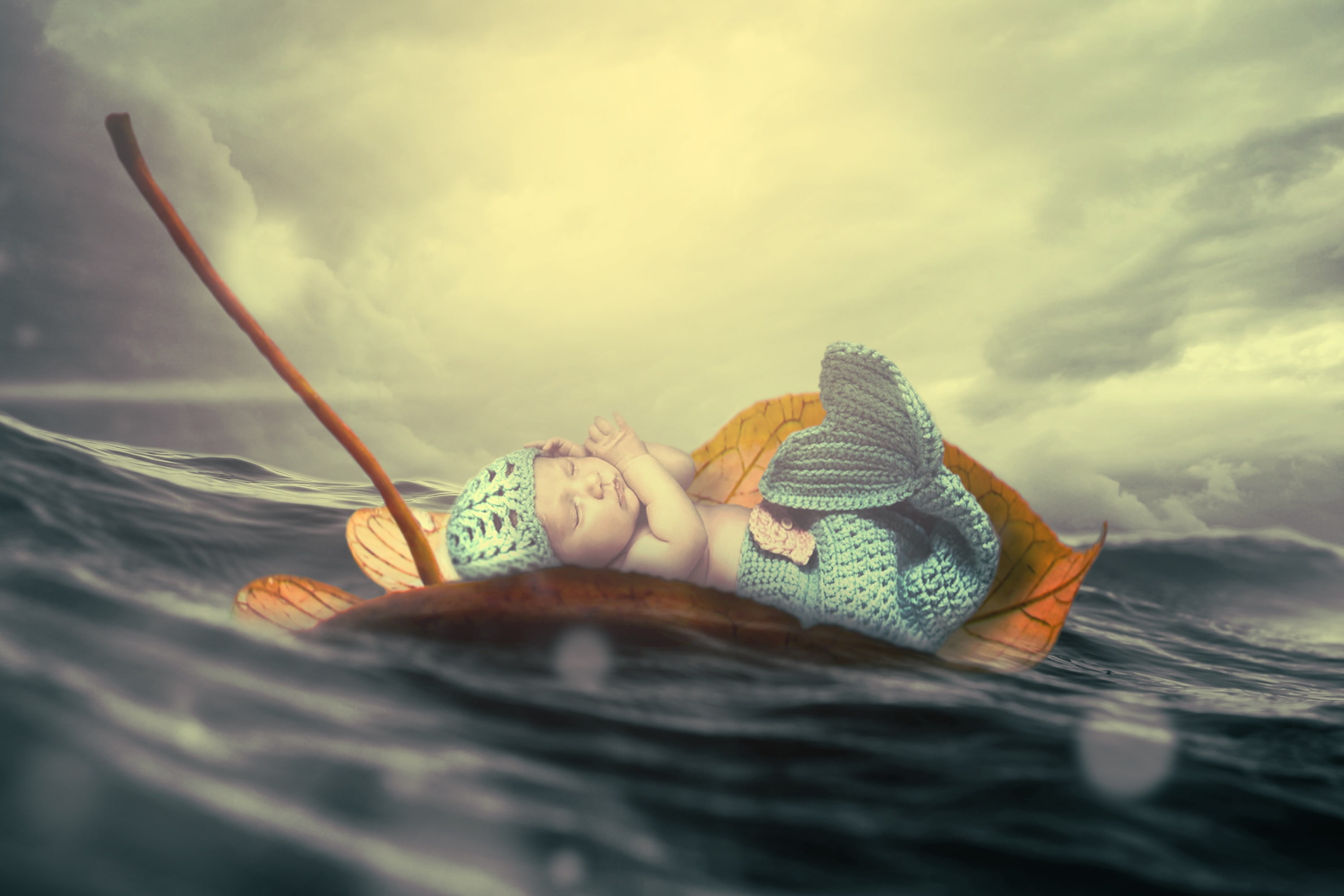 Mermaid, Ocean, Infant, 2K, Floating, Baby, Sea, HD Wallpaper