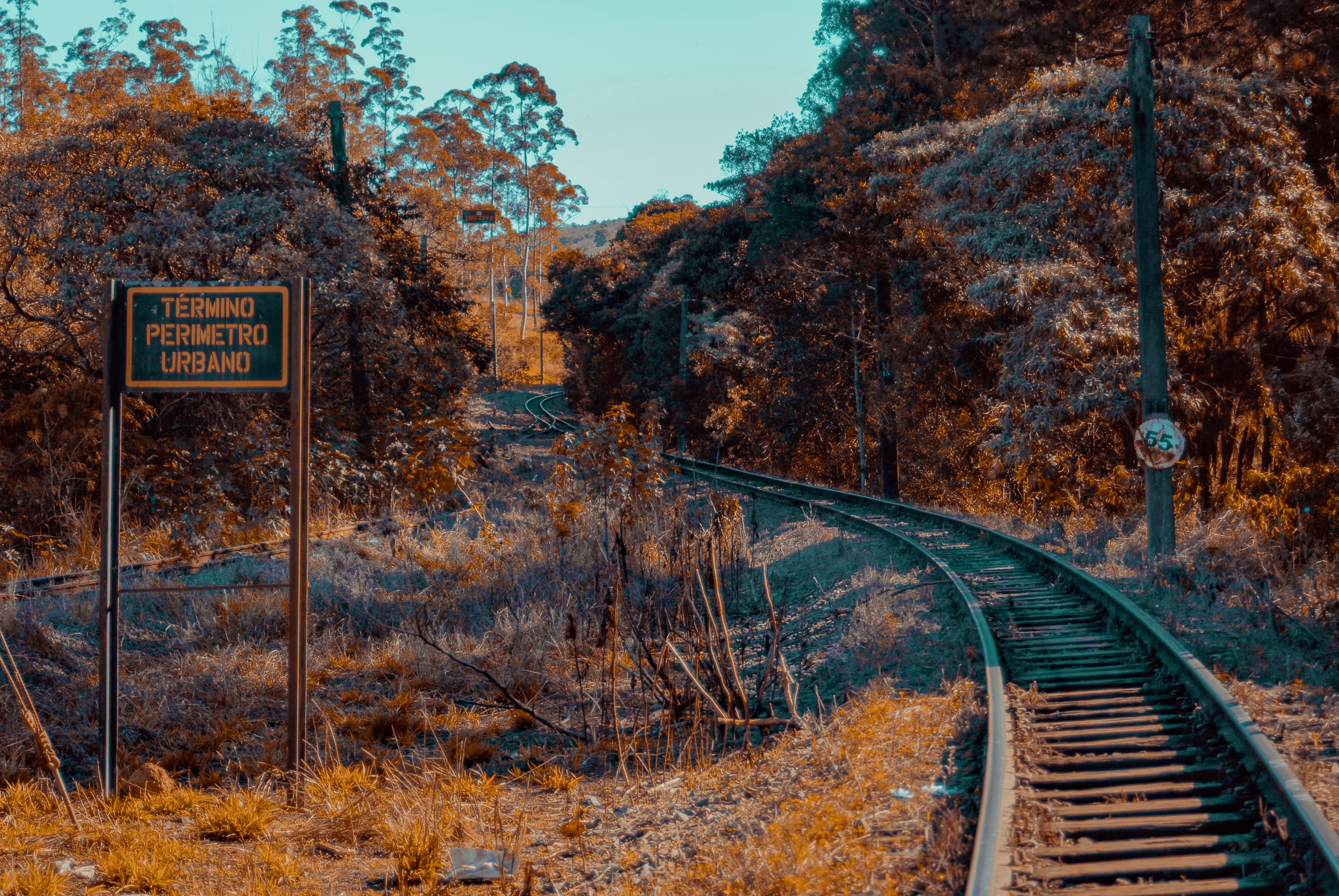 serjosoza, mairinque, outdoors, forest, rail transportation, growth, plant, sky, land, d200, nikon, sign, no people, text, information sign, communication, HD Wallpaper