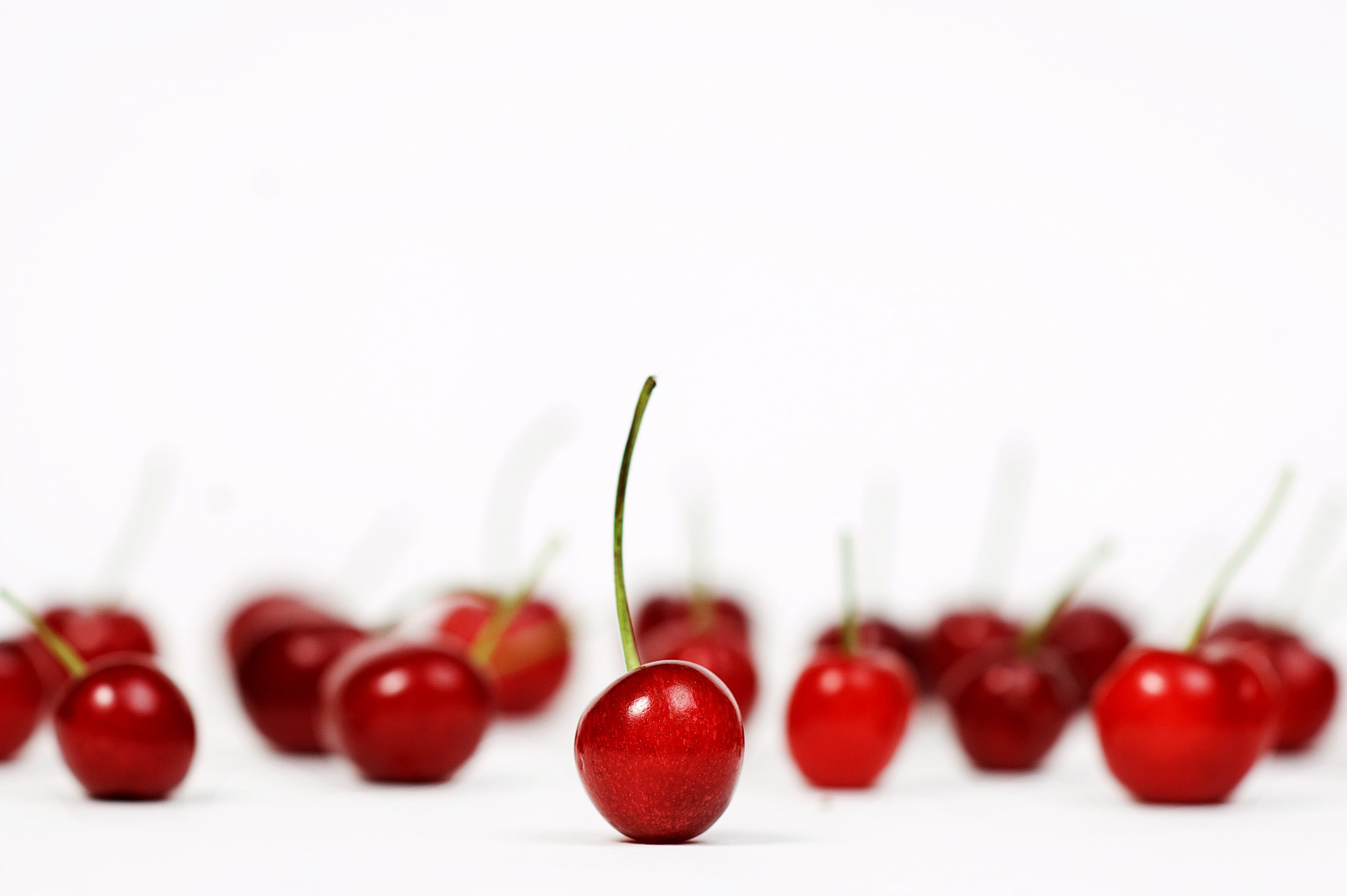 Umbrella, Lights, cherry, berry Fruit, Cherries, summer, sweet Food, food, nature, 2K, Softbox, Nikon  D50, organic, freshness, dessert, ripe, healthy Eating, HD Wallpaper