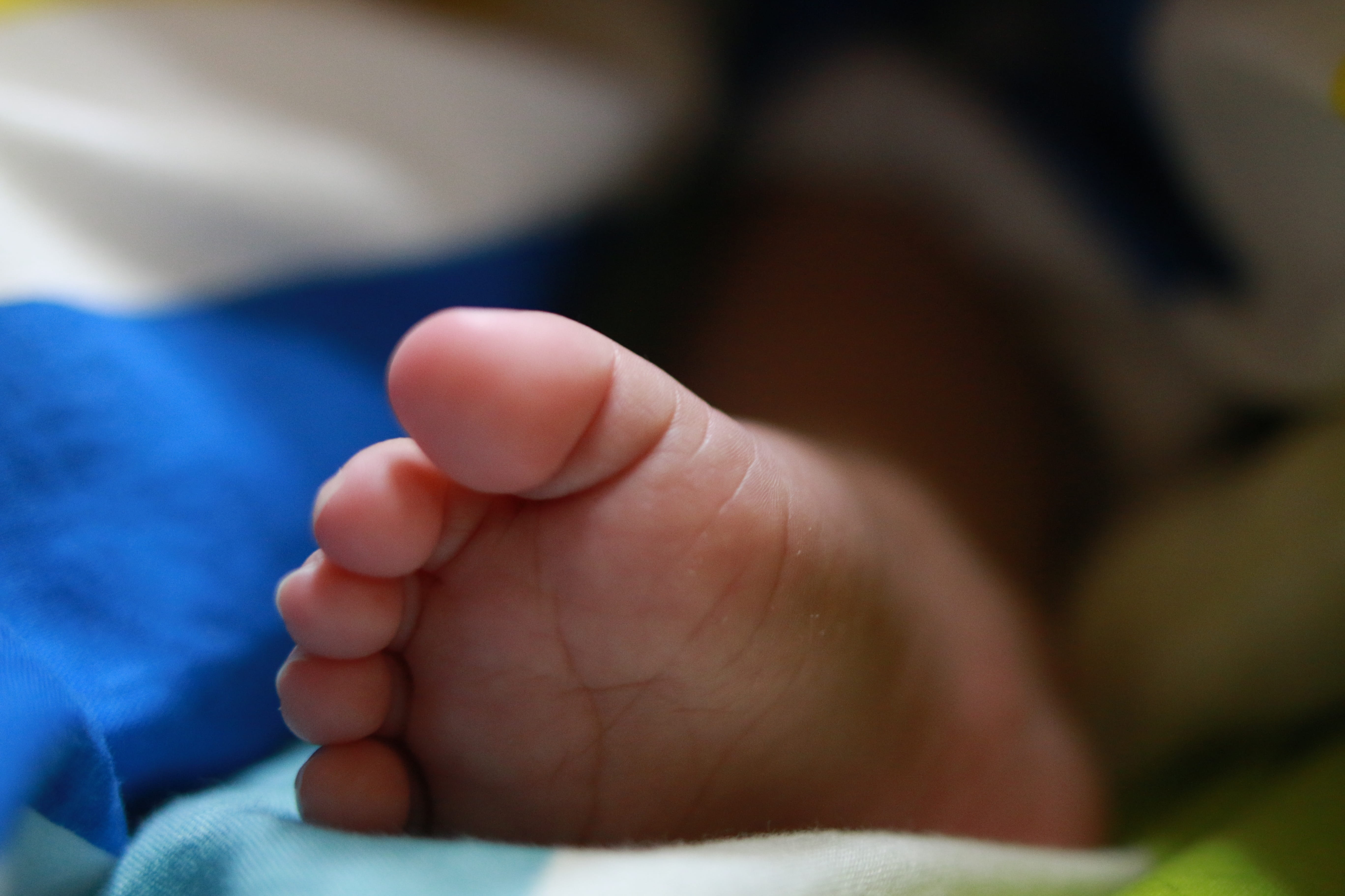 body part, close-up, feet, childhood, baby, barefoot, skin, newborn, beginnings, hand, human toe, one person, softness, indoors, small, young, child, selective focus, HD Wallpaper