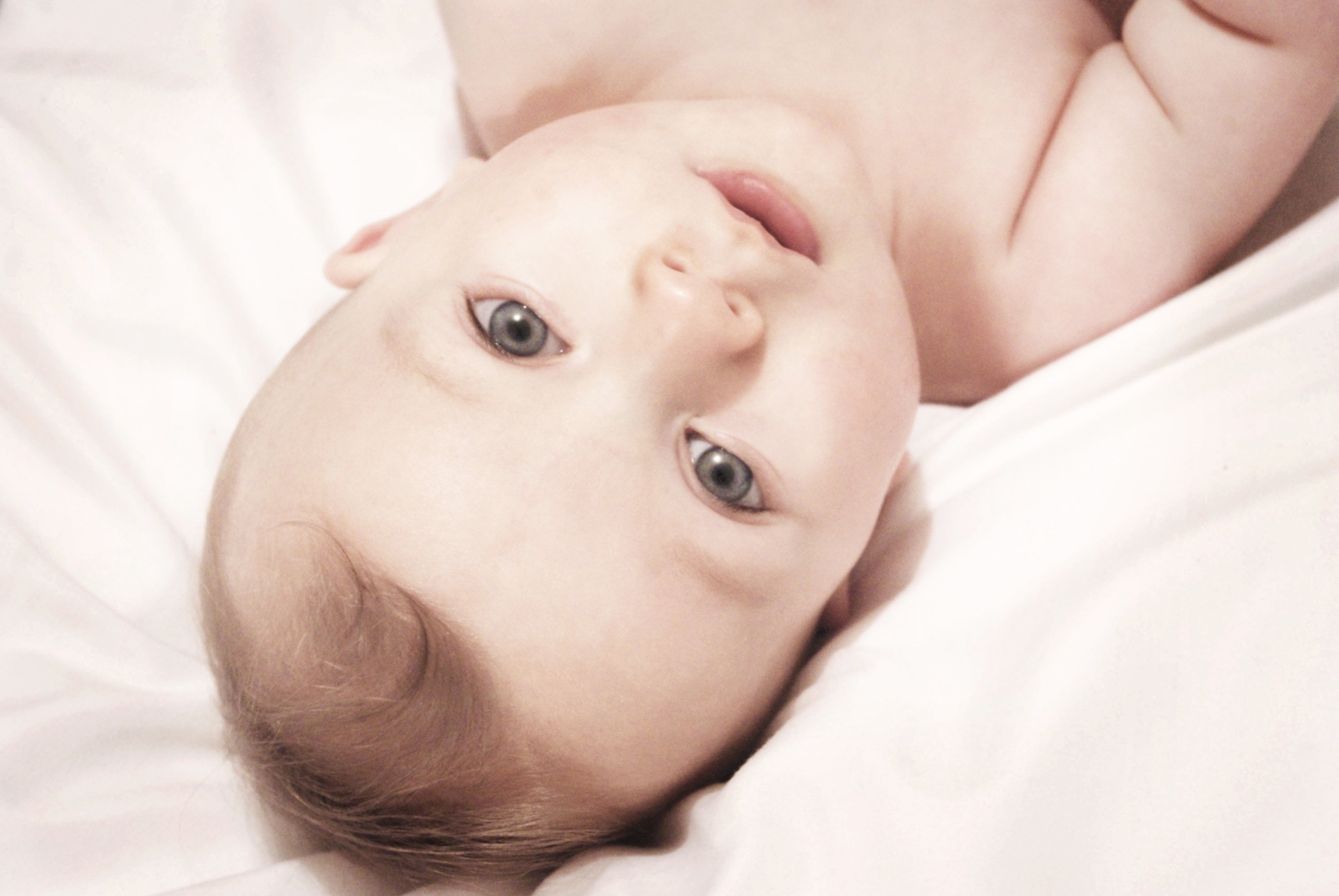 portrait, innocence, childhood, young, indoors, kid, human body part, white, sweet, headshot, one Person, newborn, lying, boy, adorable, cute, caucasian Ethnicity, HD Wallpaper