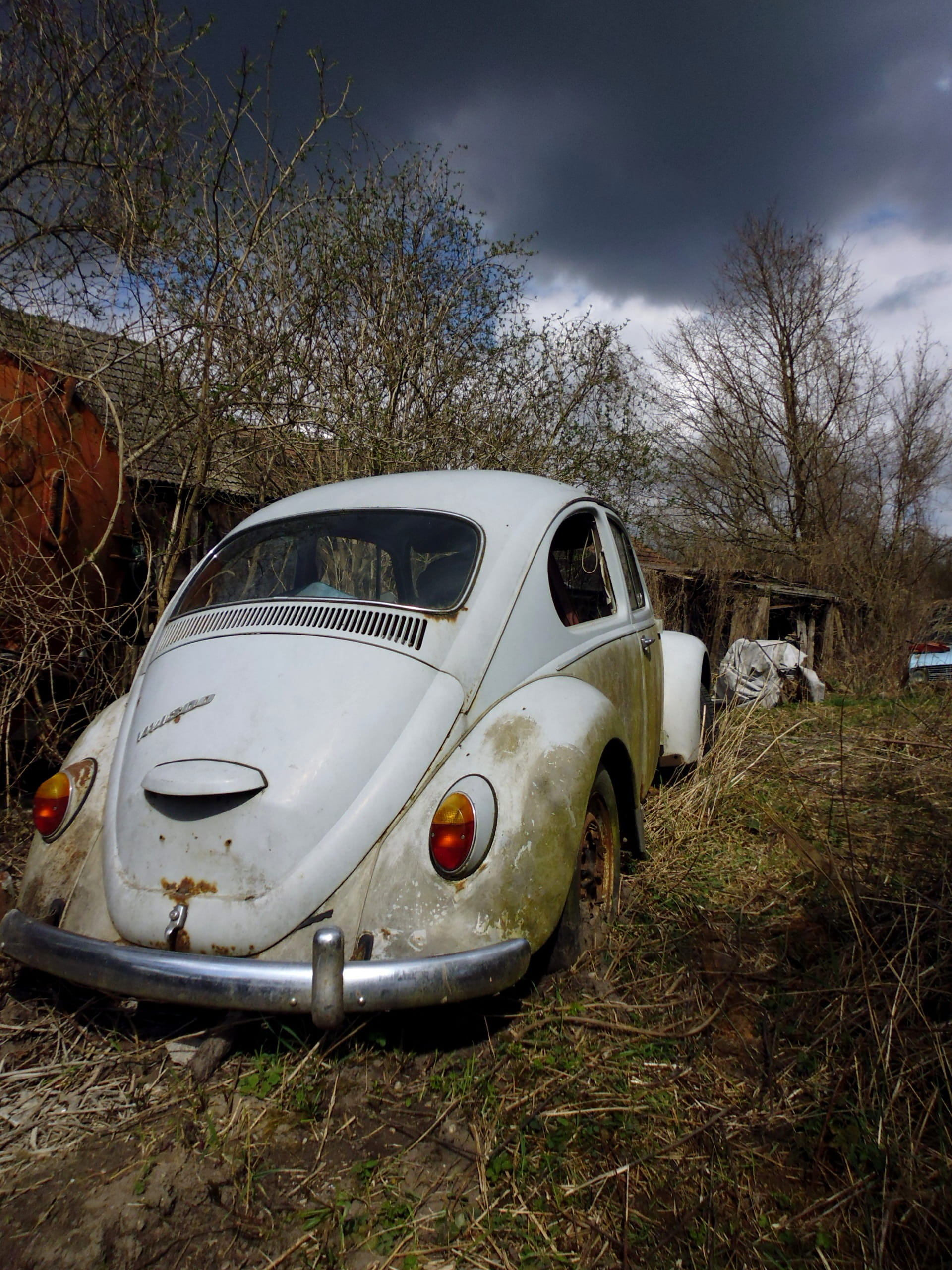 land, plant, sky, automotive, motor vehicle, damaged, Vw Beetle, volkswagen, demolished, Classic, mode of transportation, Oldtimer, Auto, deterioration, Phone HD Wallpaper