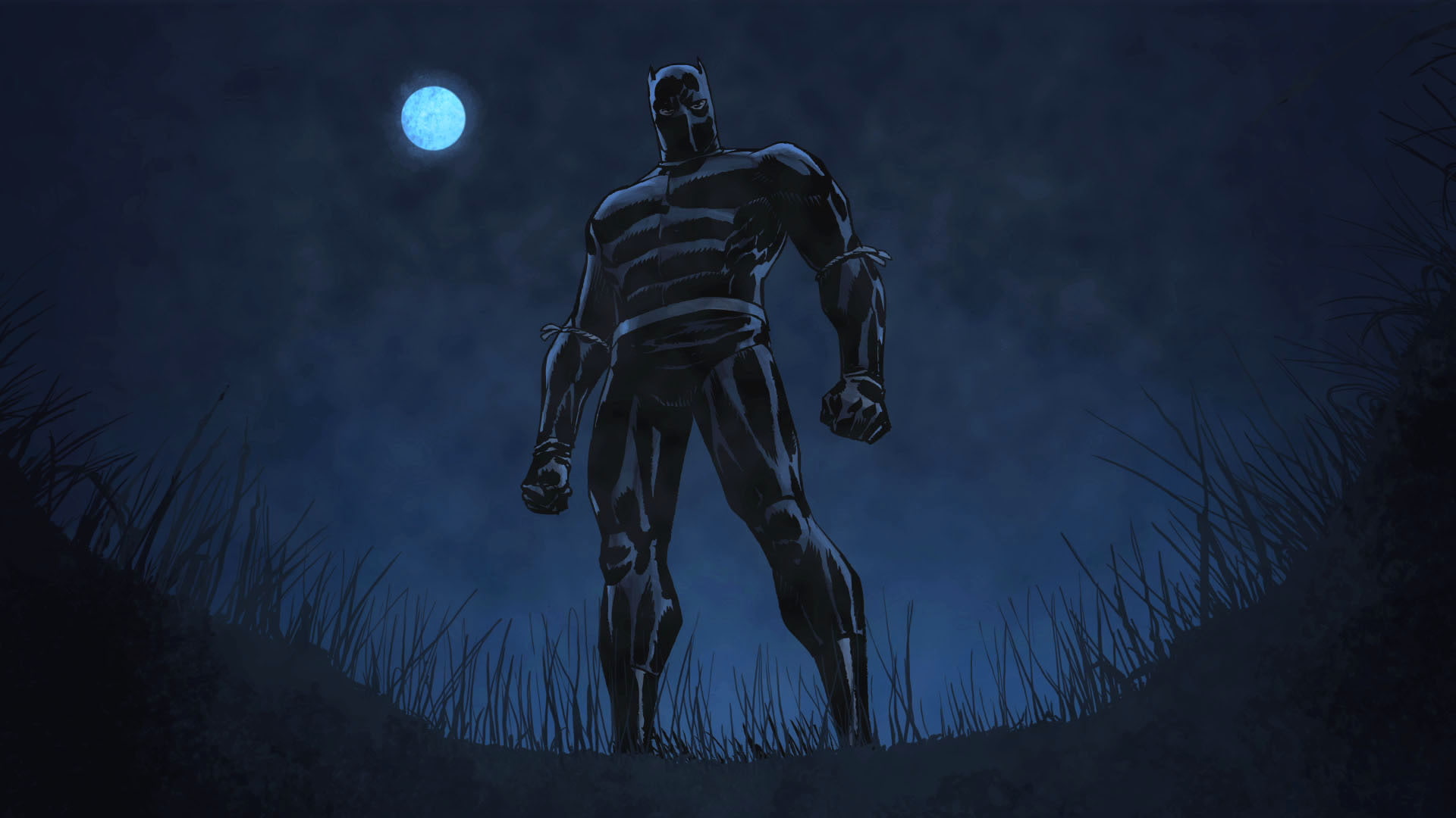 pose, grass, Black Panther, The moon, Marvel Comics, You Challa, costume, 1080P, night, HD Wallpaper