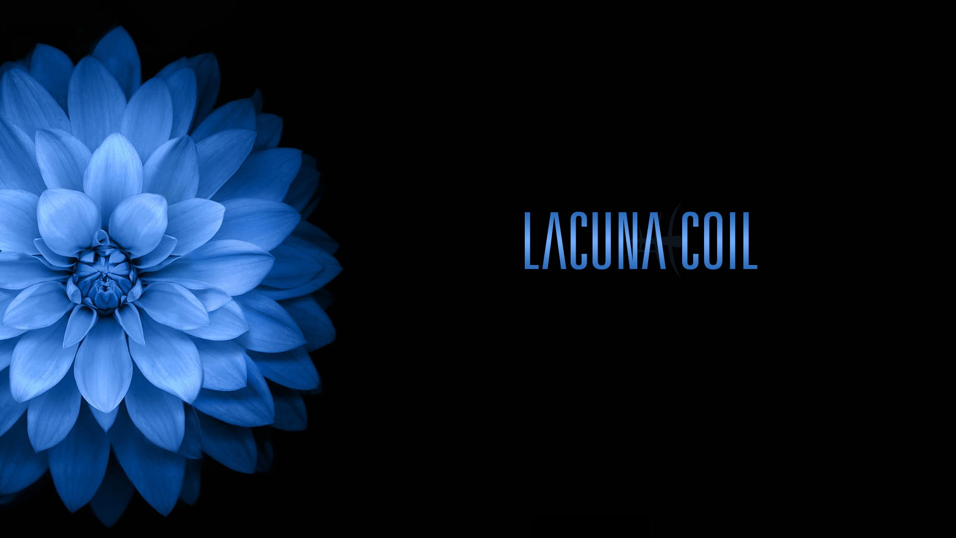 Lacuna Coil, plants, blue flowers, 1080P, flowers, Gothic, HD Wallpaper