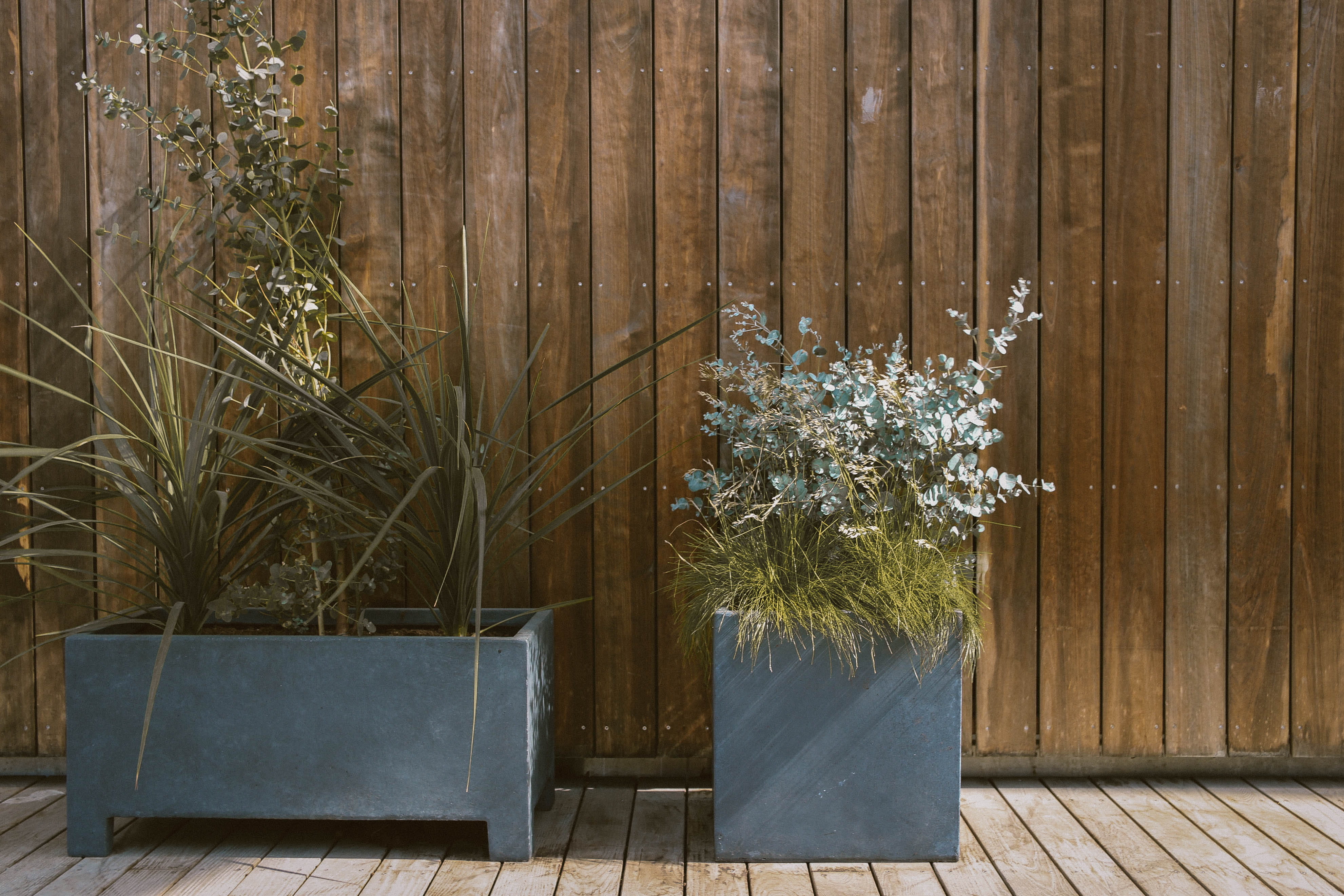 plant box, plants, wooden planks, modern, wooden, day, flower pot, green color, brown, sunlight, wooden wall, wall - building feature, rustic, 4K, beside, HD Wallpaper