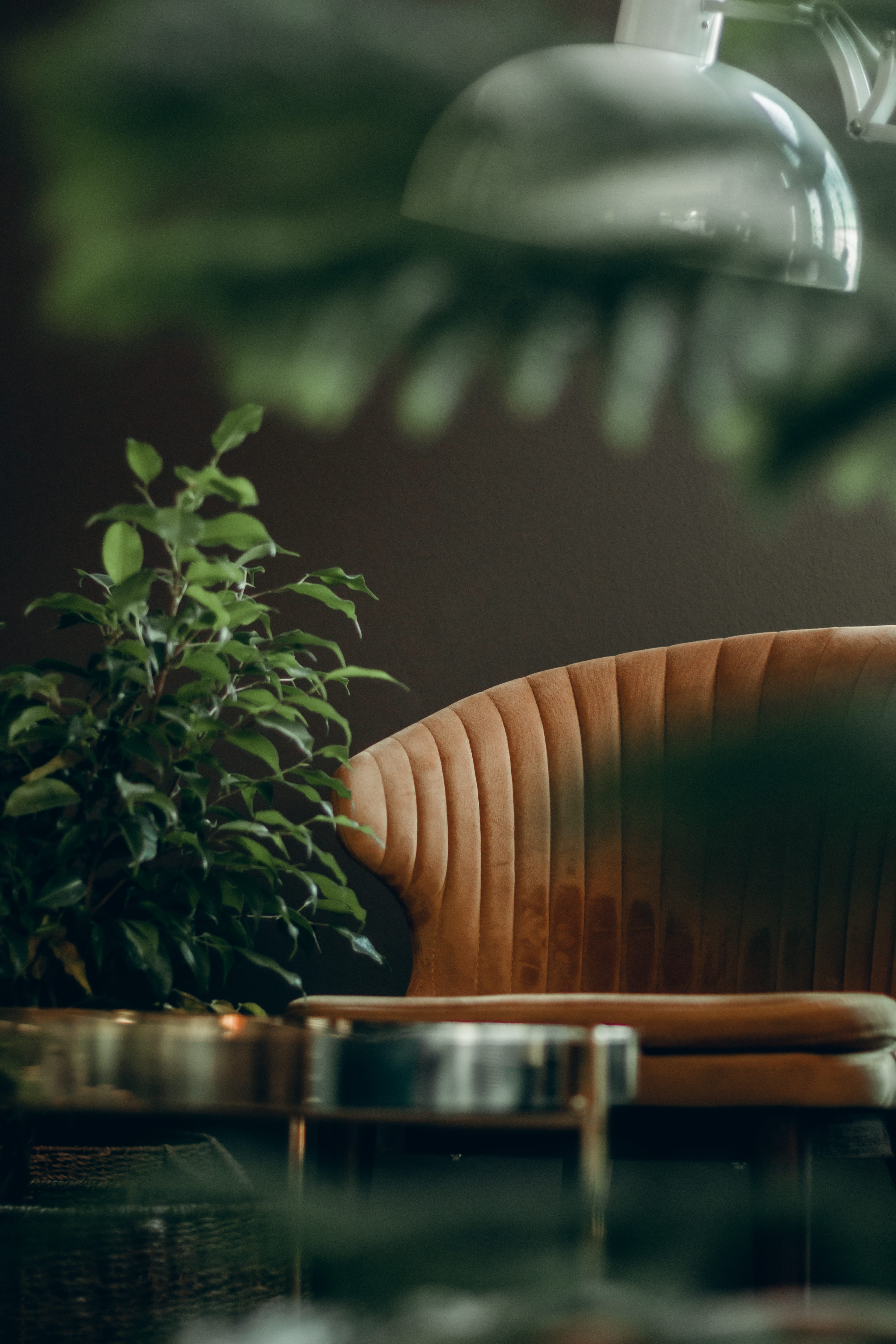 pottery, beside, plant part, no people, home, food, potted plant, apparel, indoors, greenery, home decor, focus on foreground, food and drink, jar, planter, Phone HD Wallpaper