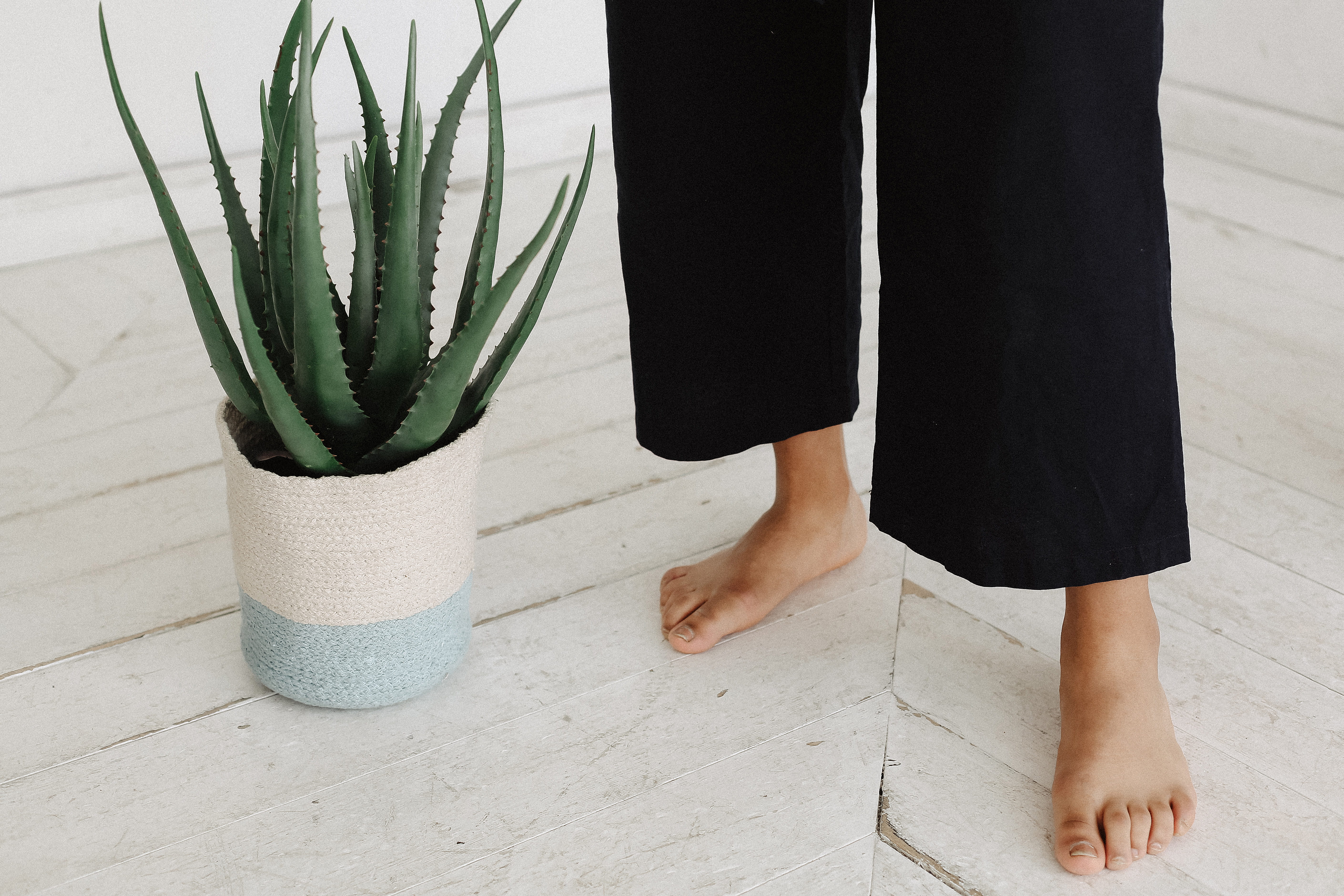 potted plant, lifestyles, woman, pants, human foot, wooden flooring, barefoot, pot, green, indoors, color, houseplant, flower, cactus, standing, person, HD Wallpaper