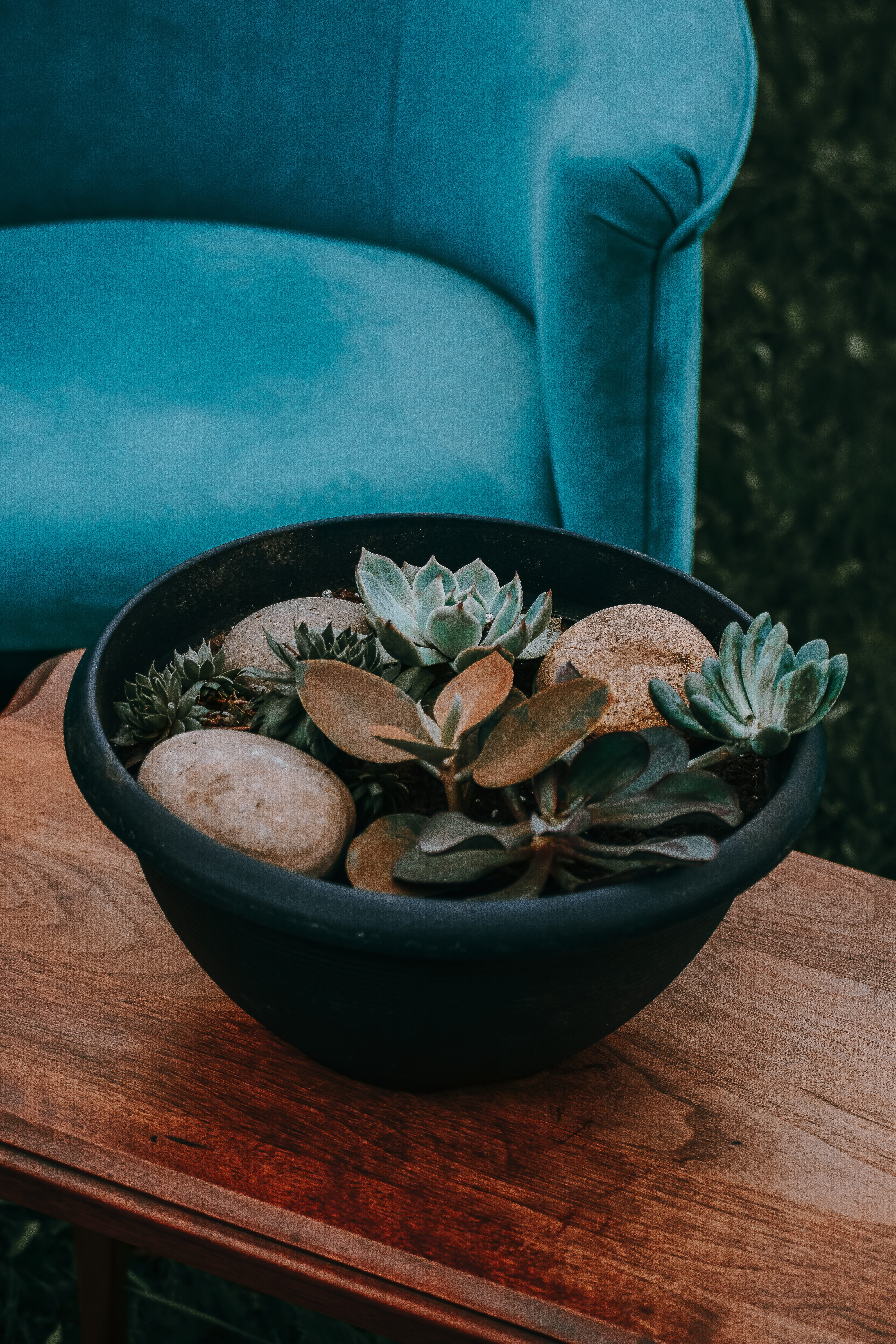 healthy eating, blue, orange, leaf, teal, high angle view, still life, stones, bowl, pot, flower, freshness, black, brown, leafe, 5K, decor, plant part, Phone HD Wallpaper
