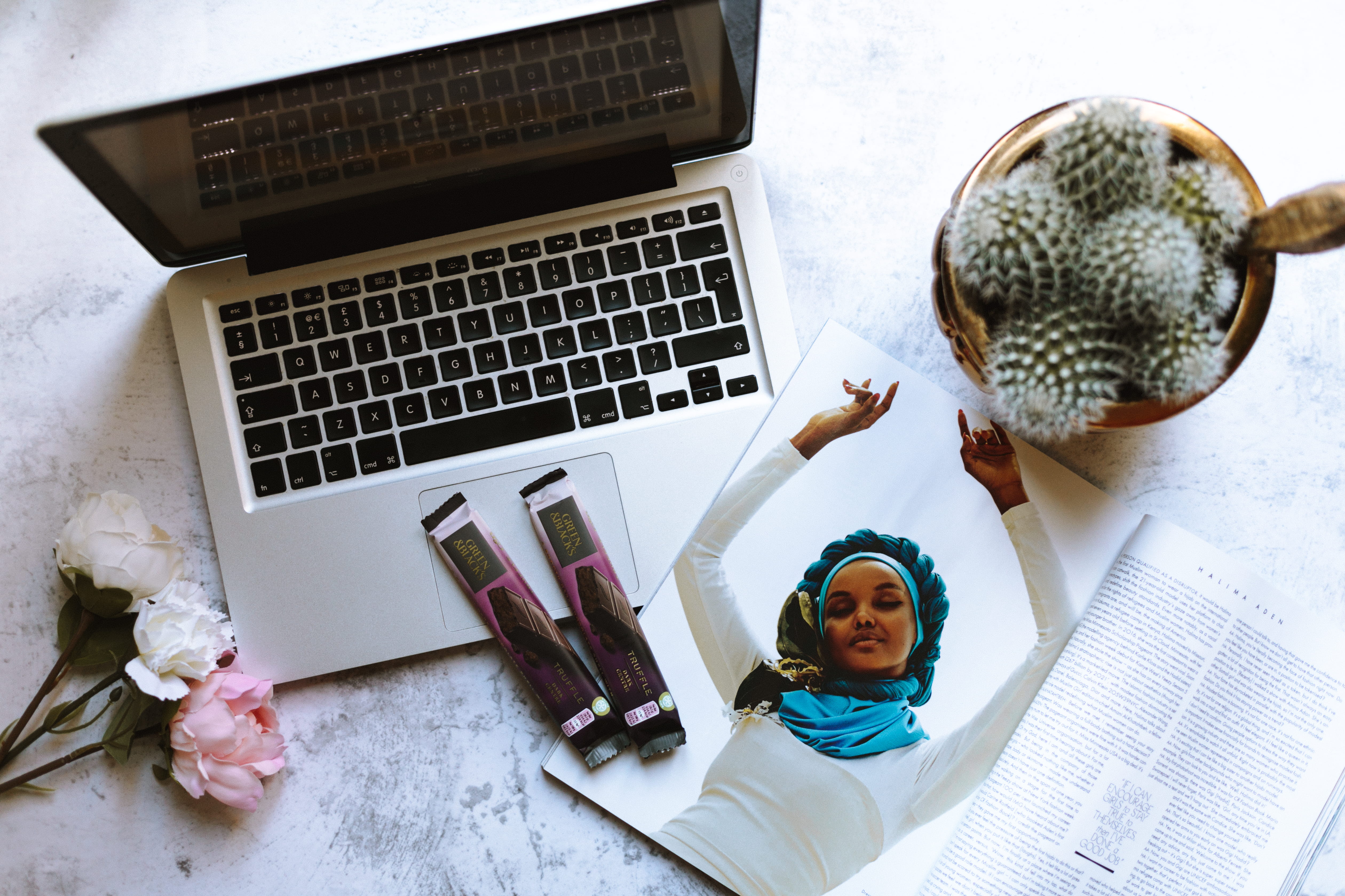 macbook, cacti, communication, high angle view, keyboard, flowering plant, clean, workspace, plant, women, using laptop, computer, directly above, lay, HD Wallpaper