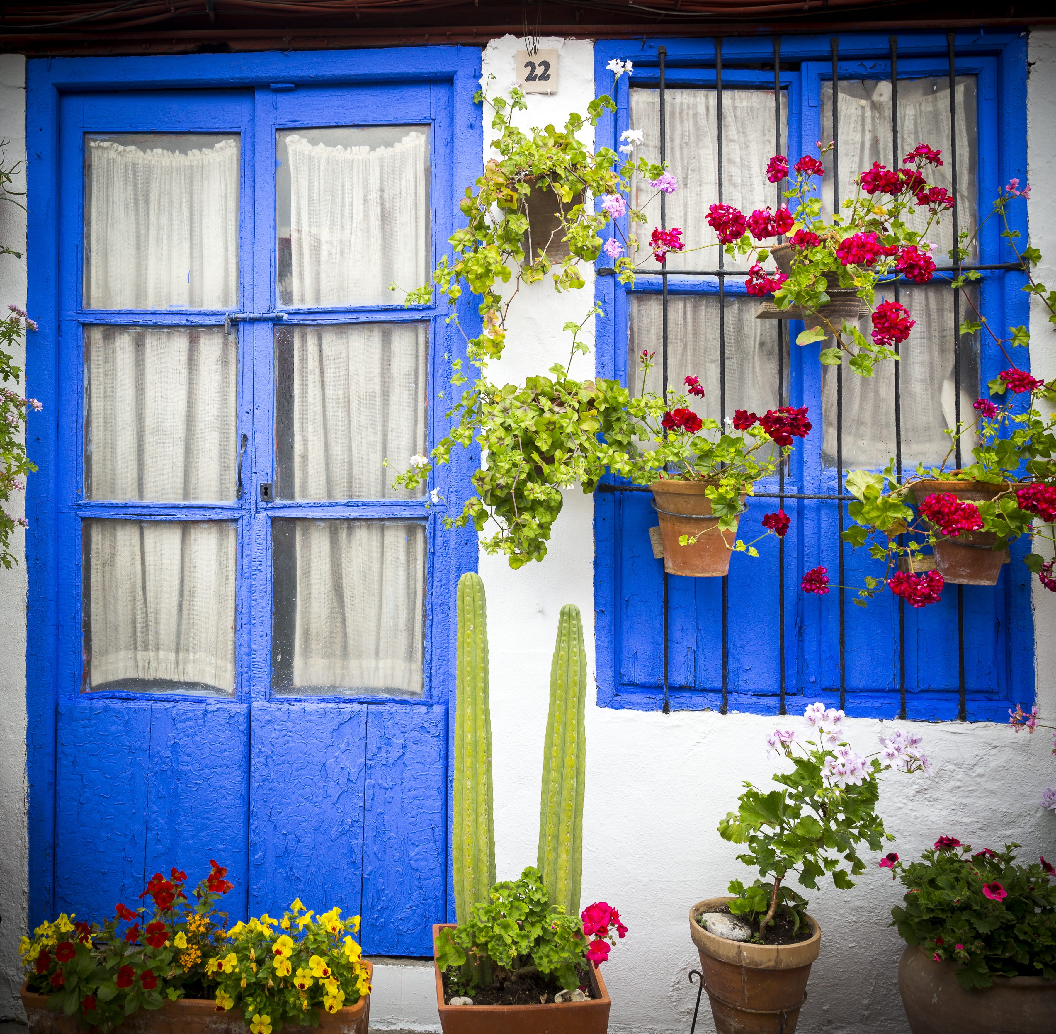built structure, house, pile, building exterior, architecture, flower, decoration, outdoors, patios de córdoba, flowers, plants, flower pot, residential district, HD Wallpaper