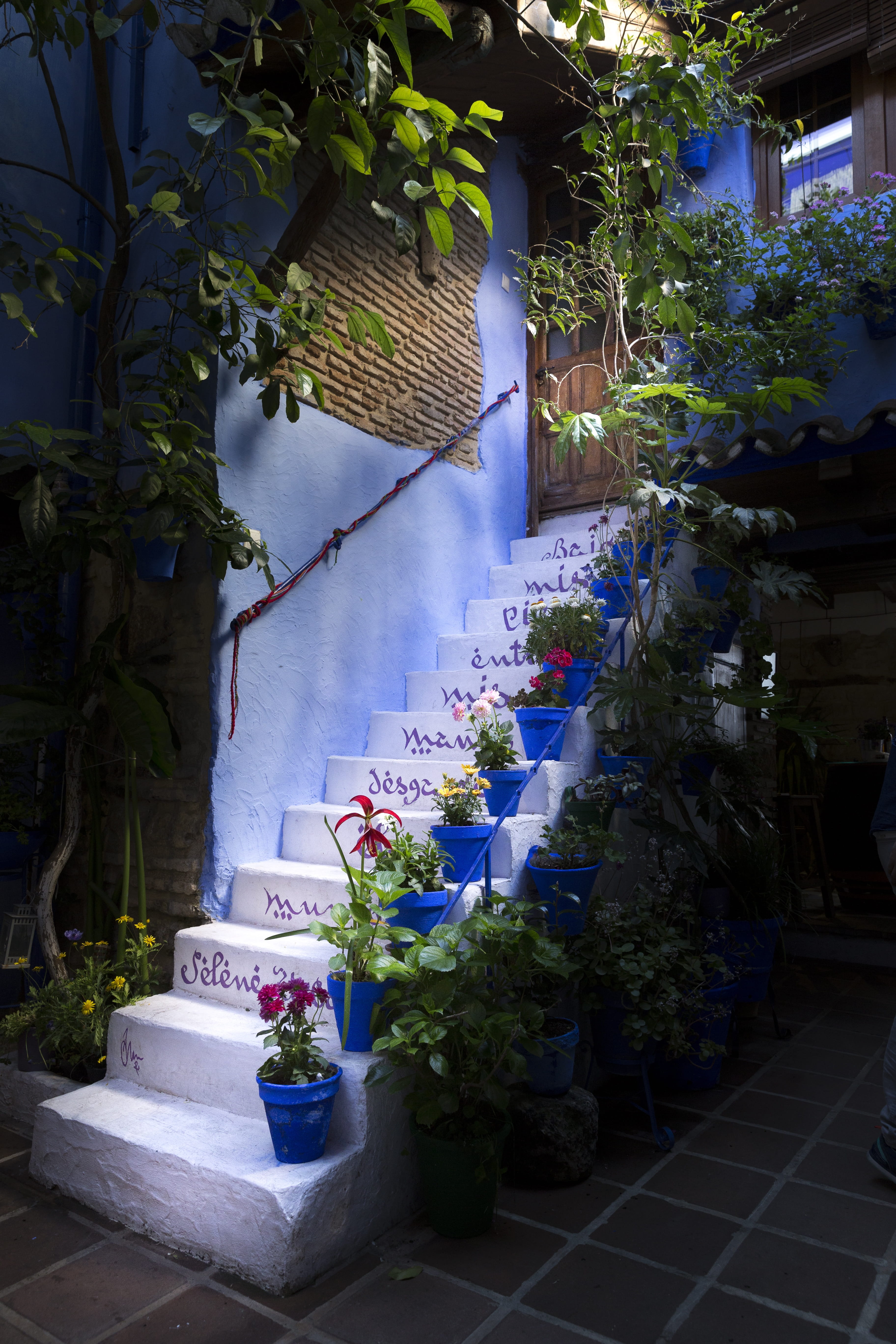 text, choice, decoration, nature, leaves, summer, flower pot, built structure, flowerpot, for sale, retail, potted plant, Spain, day, patios de córdoba, Phone HD Wallpaper