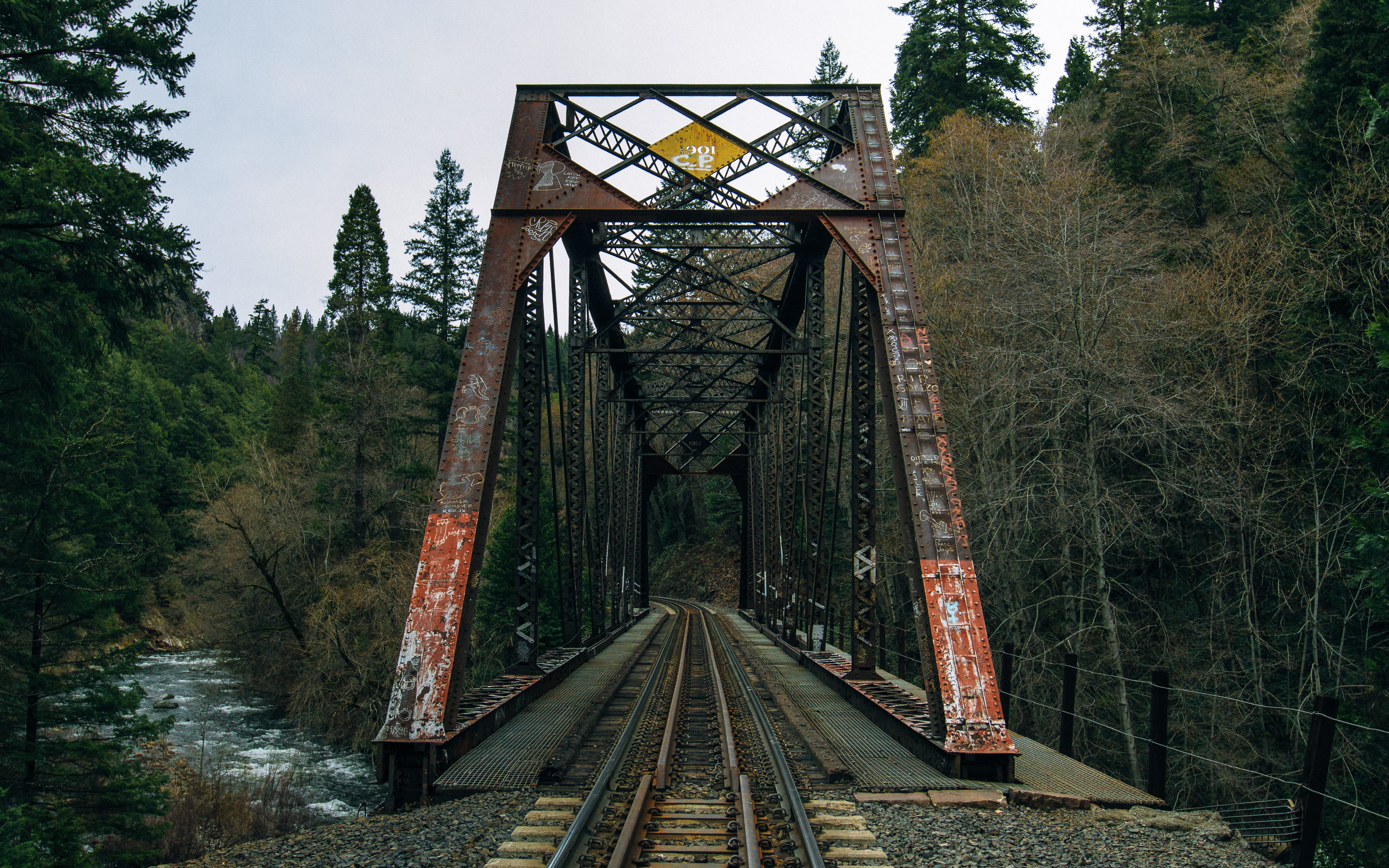 suspension bridge, bridge - man made structure, transportation, bridge, track, plant, no people, railway, railway bridge, forest, diminishing perspective, HD Wallpaper