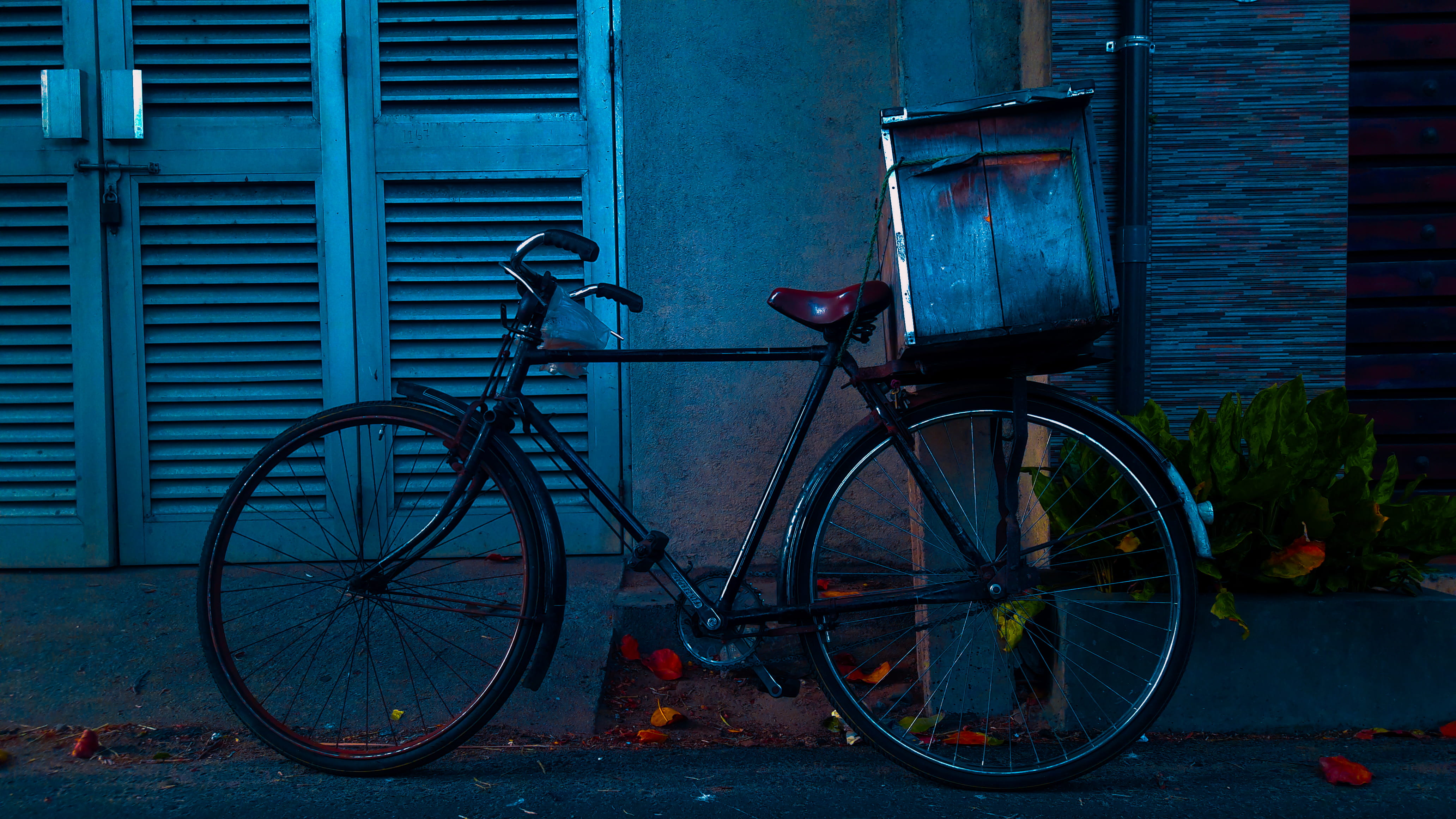 flora, vehicle, vase, mode of transportation, land vehicle, fixie, parking, 4K, pottery, wheel, building exterior, chair, bowl, black, bike, leaning, bicycle, HD Wallpaper