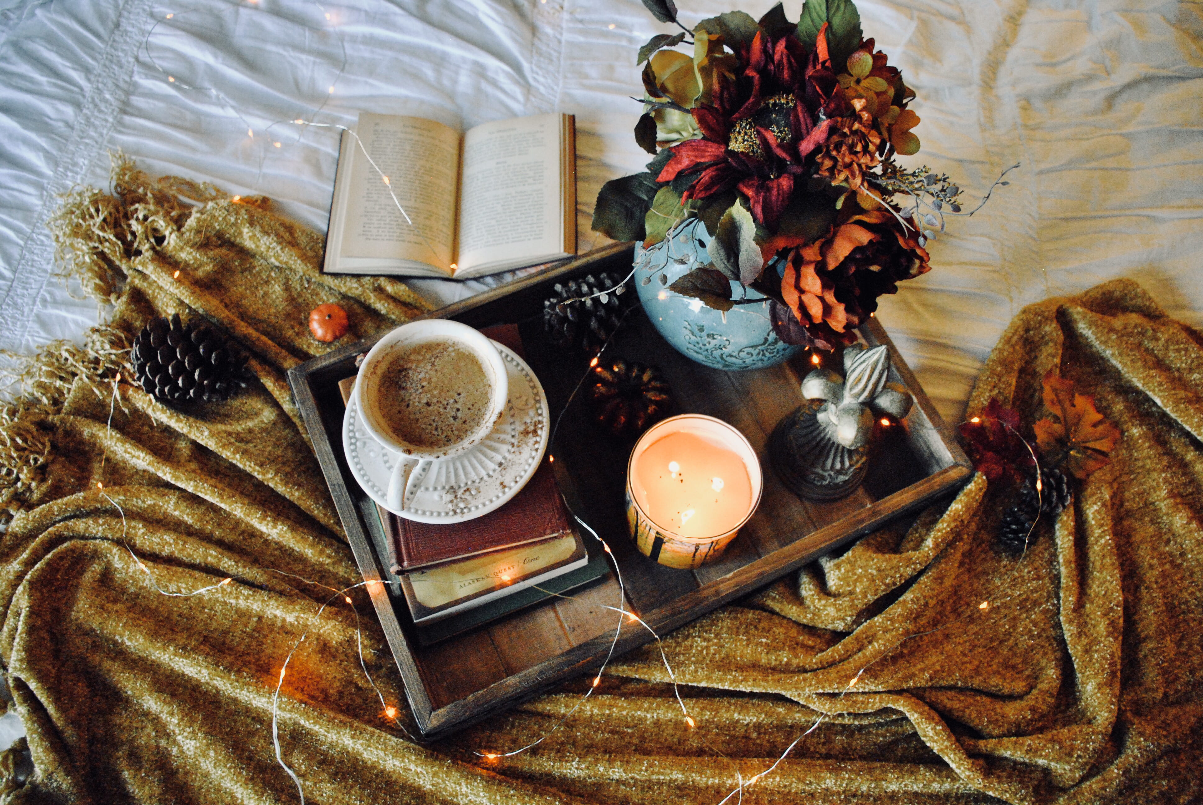 4K, flower, pottery, book, table, cup, flowering plant, food, spoon, jar, freshness, flora, breakfast, decor, beside, potted plant, healthy eating, blanket, HD Wallpaper