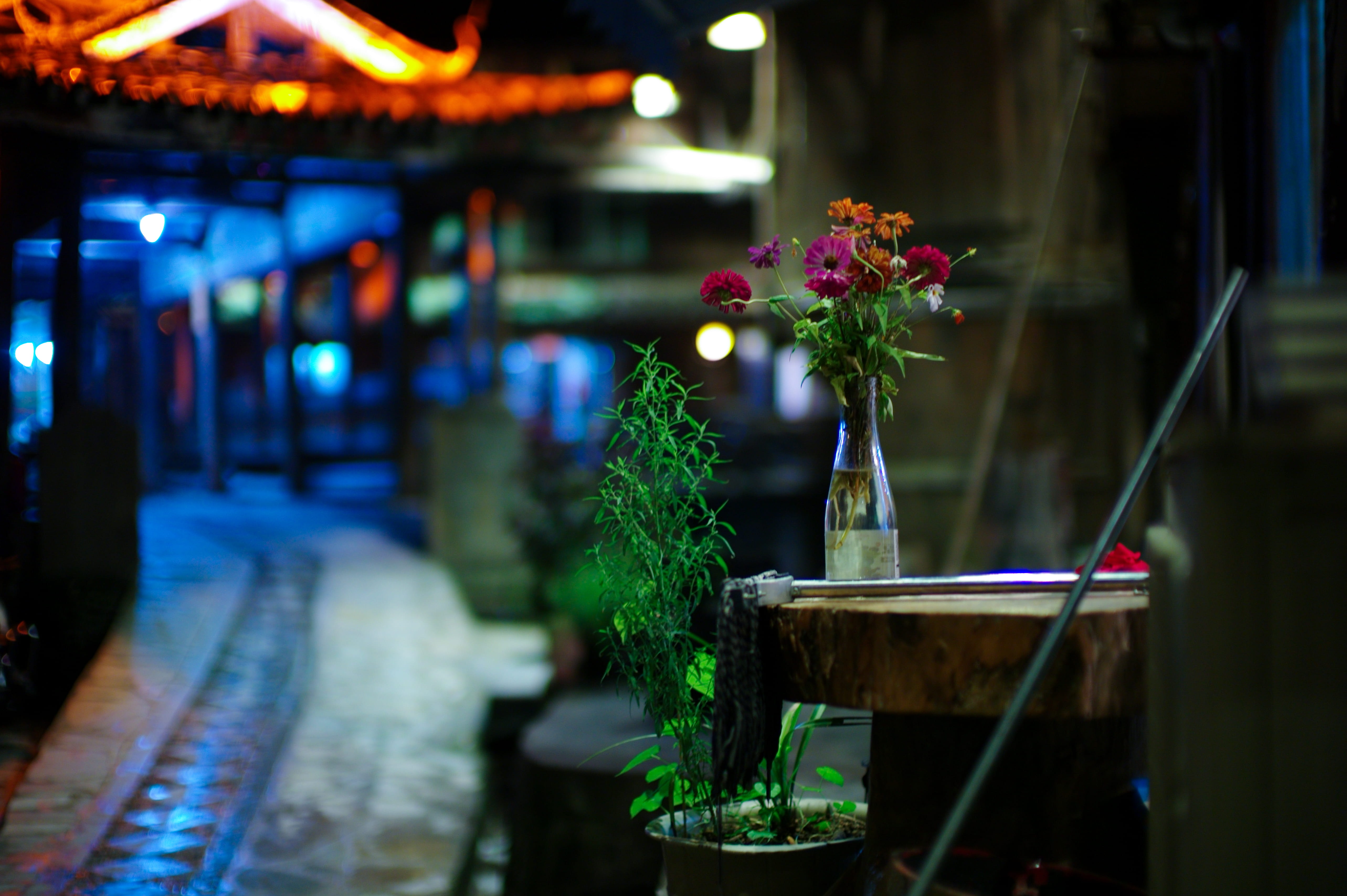 5K, restaurant, plant, tree, lighting, flora, focus, vase, architecture, potted plant, flower, decoration, parking, plants, leafed, seat, balcony, table, HD Wallpaper