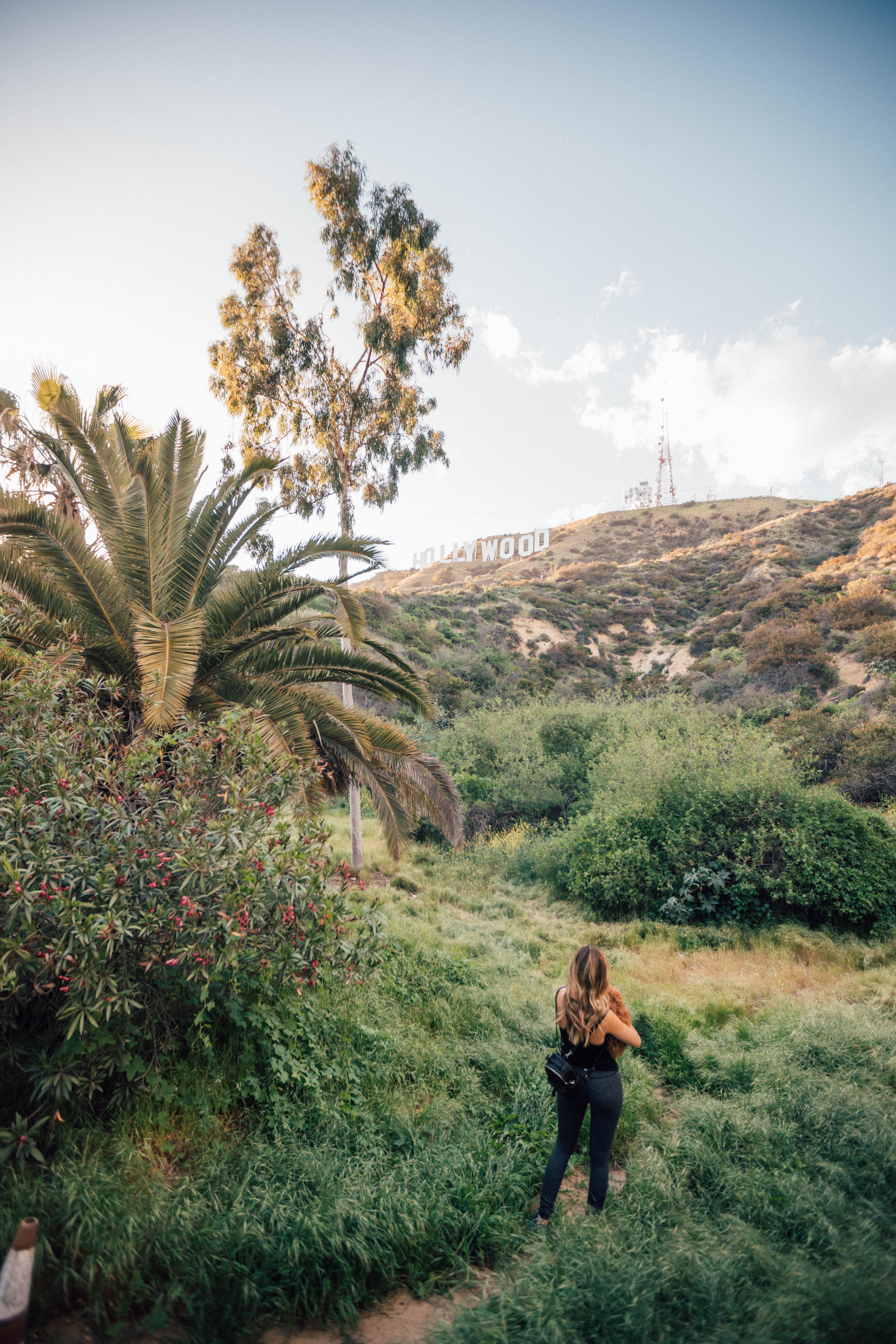 bush, flora, full length, landscape, tree, standing, leisure activity, beauty in nature, los angeles, day, nature, blue, land, trail, young adult, real people, Phone HD Wallpaper