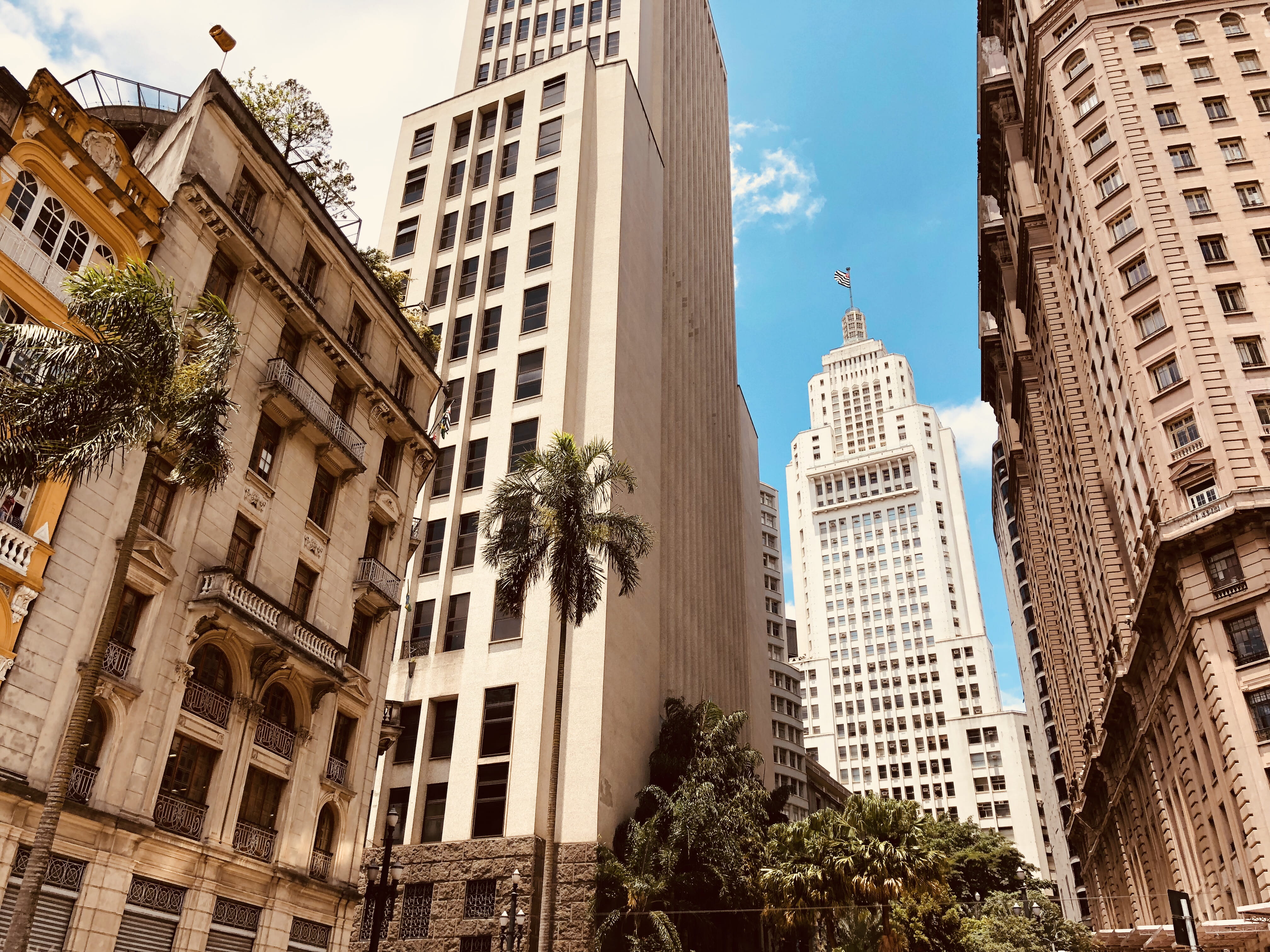 jar, office, window, white, photo, no people, town, day, villa, vase, tower, low angle view, house, skyscraper, tree, brazil, housing, financial district, HD Wallpaper