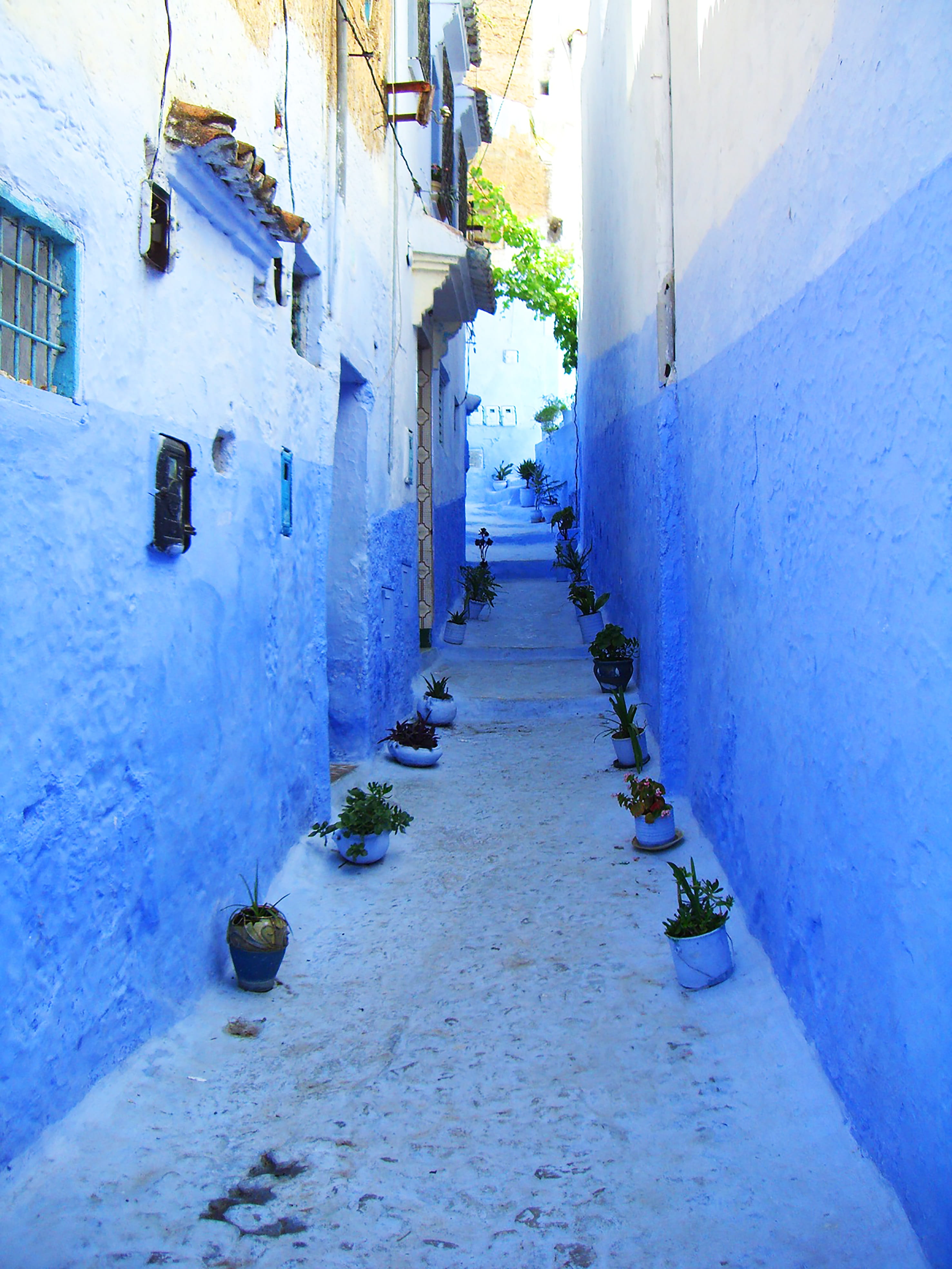 nature, no people, Morocco, narrow, arabic, Alley, passage, blue, house, diminishing perspective, blue houses, 4K, direction, wall, long, building exterior, Phone HD Wallpaper