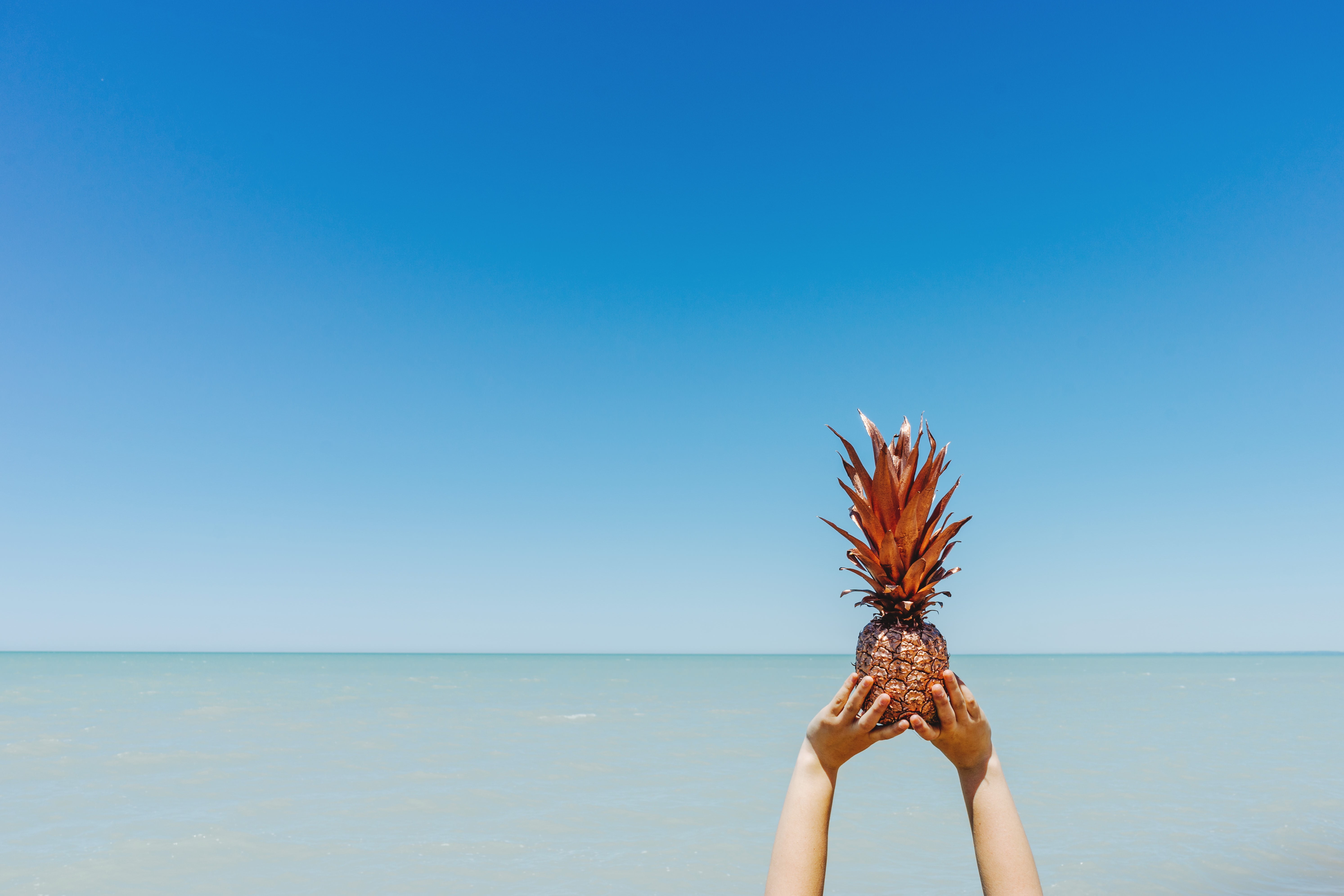 minimalism, human Hand, outdoors, day, beach, fruit, body part, summer, plants, hairstyle, human arm, pineapples, leisure activity, 5K, pineapple, copy space, HD Wallpaper