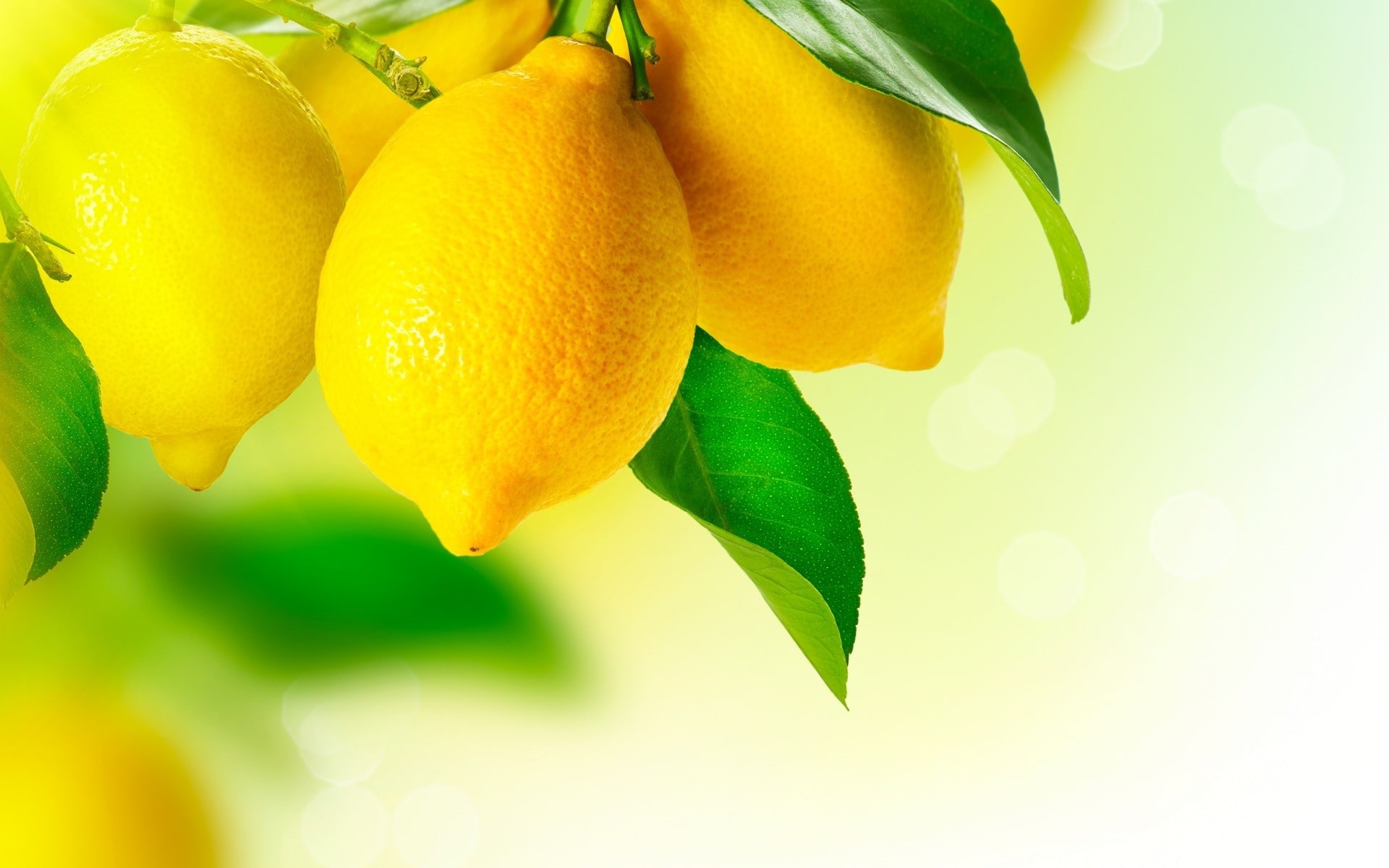 1080P, fruit, lemons, HD Wallpaper