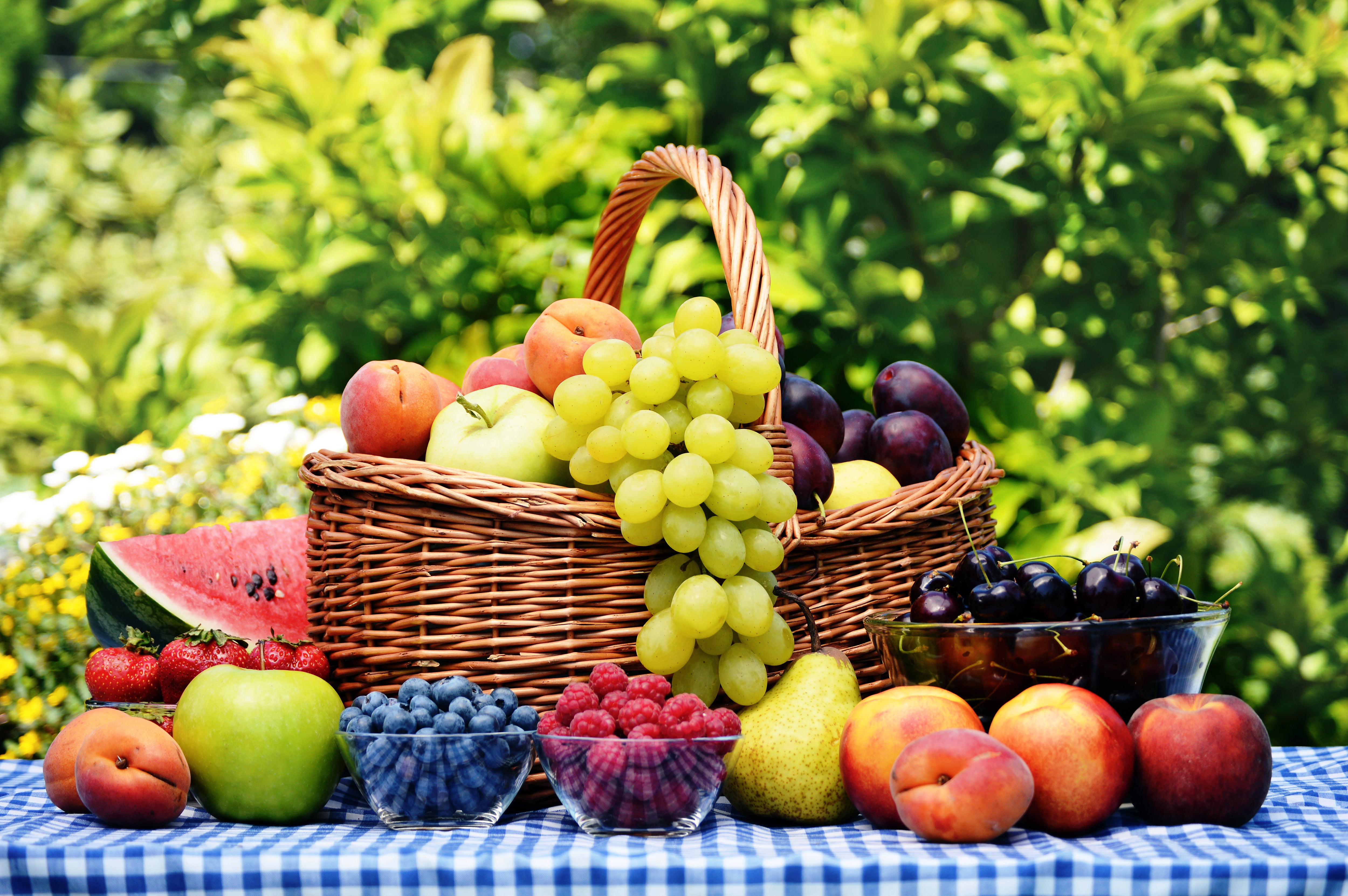 container, apricot, wellbeing, refreshment, plum, cherry, pear, grape, plant, large group of objects, freshness, gourmet, green Color, peach, strawberry, HD Wallpaper