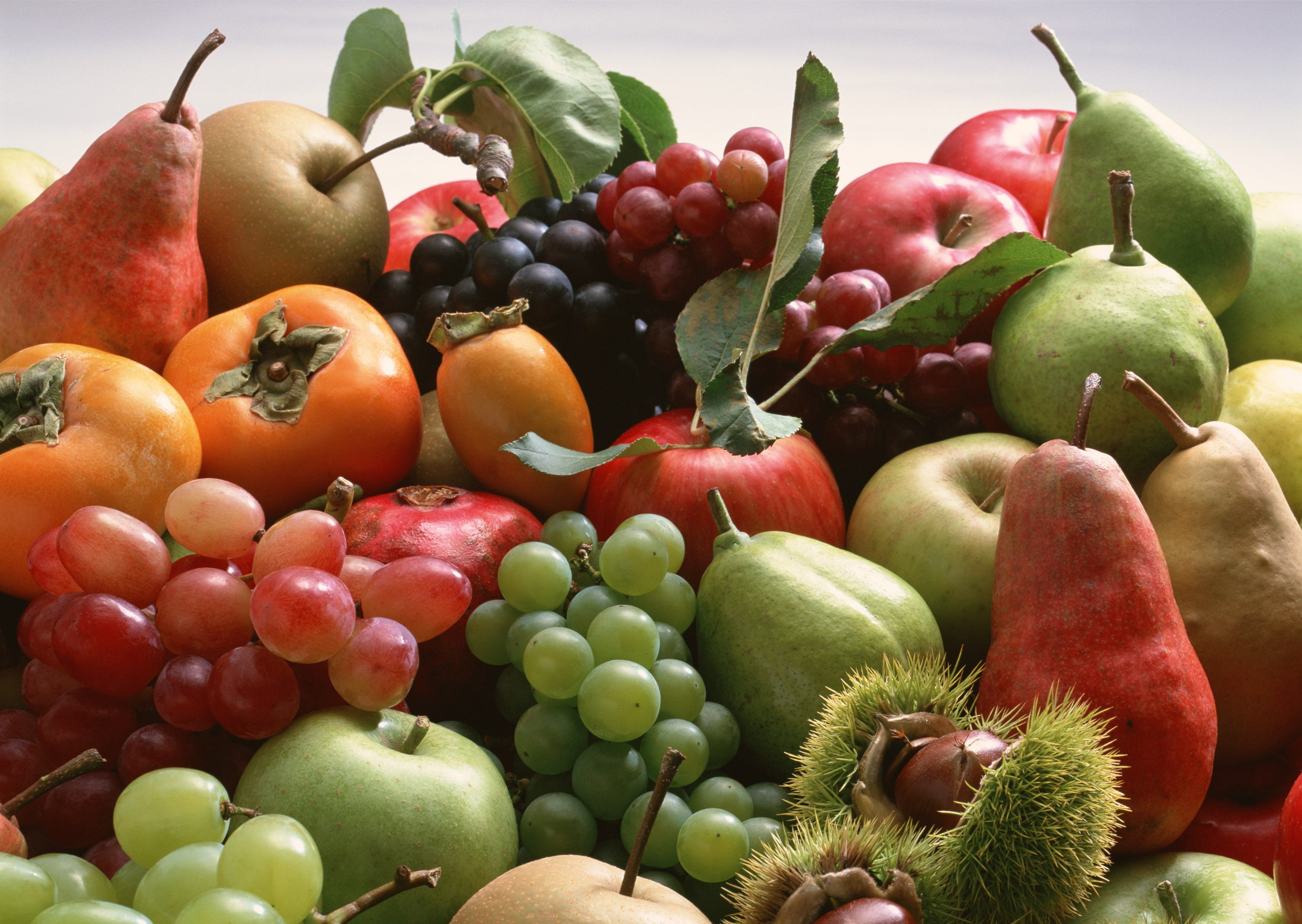 large Group of Objects, vegetable, pears, group of Objects, fruit, pomegranate, apple - Fruit, still life, raw Food, freshness, day, choice, food, grapes, HD Wallpaper