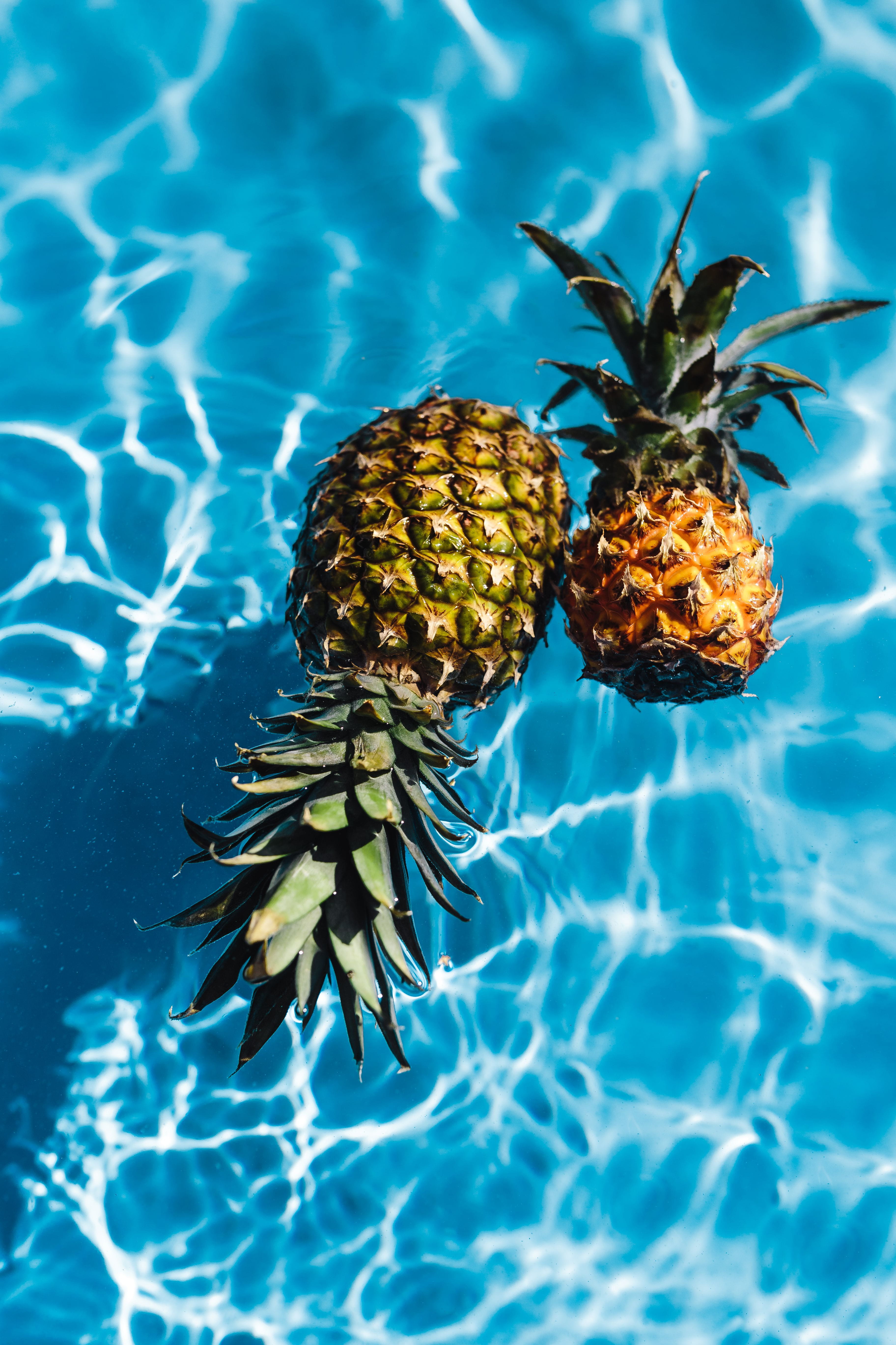 animal themes, sunlight, freshness, water, tropical, animal wildlife, nature, close-up, flower, above, one animal, blue, fresh, tropical fruit, pineapple, Phone HD Wallpaper