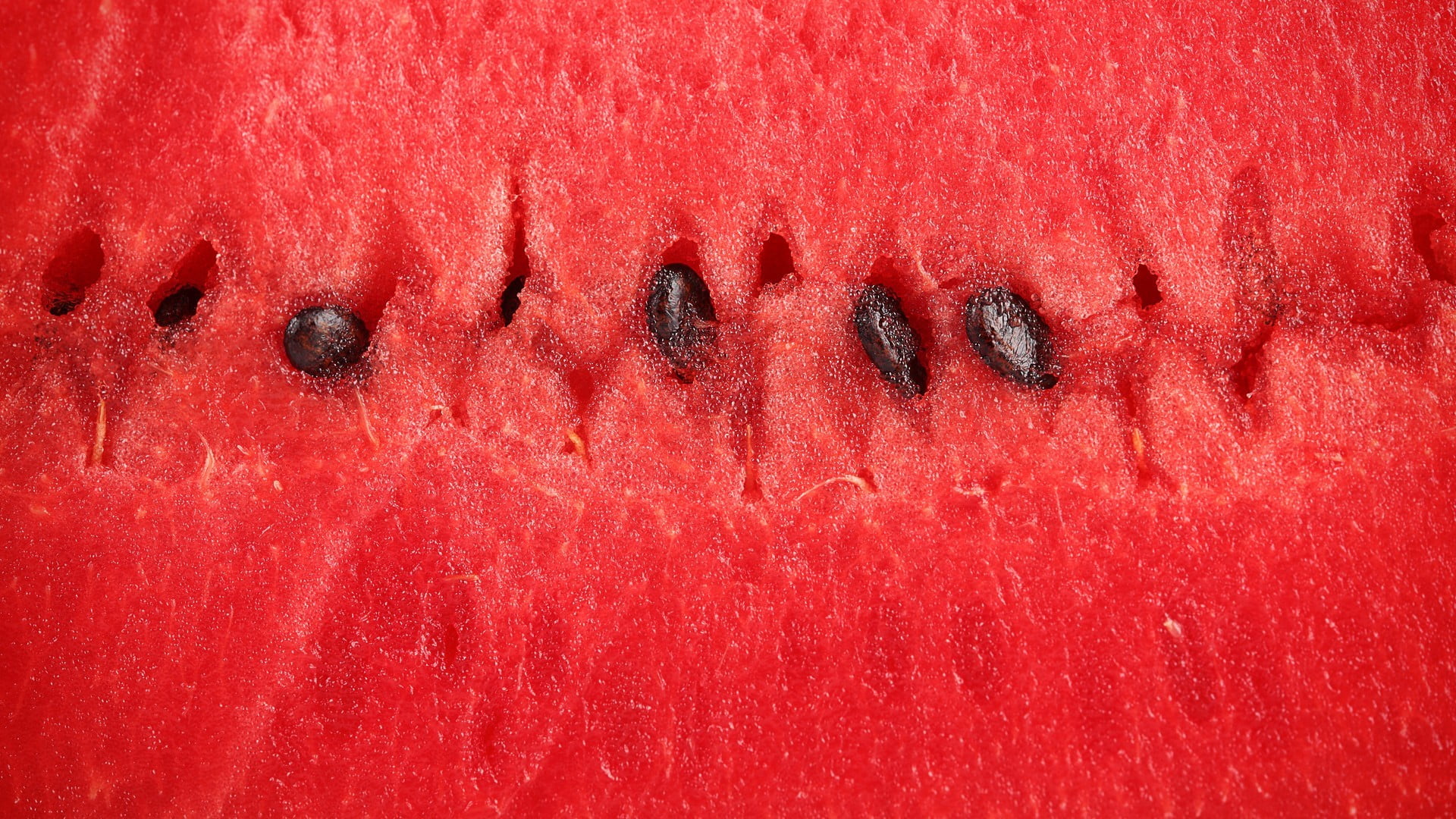 vegetarian Food, backgrounds, western script, summer, communication, healthy Eating, abstract, food, wet, freshness, full frame, day, organic, ripe, red, HD Wallpaper