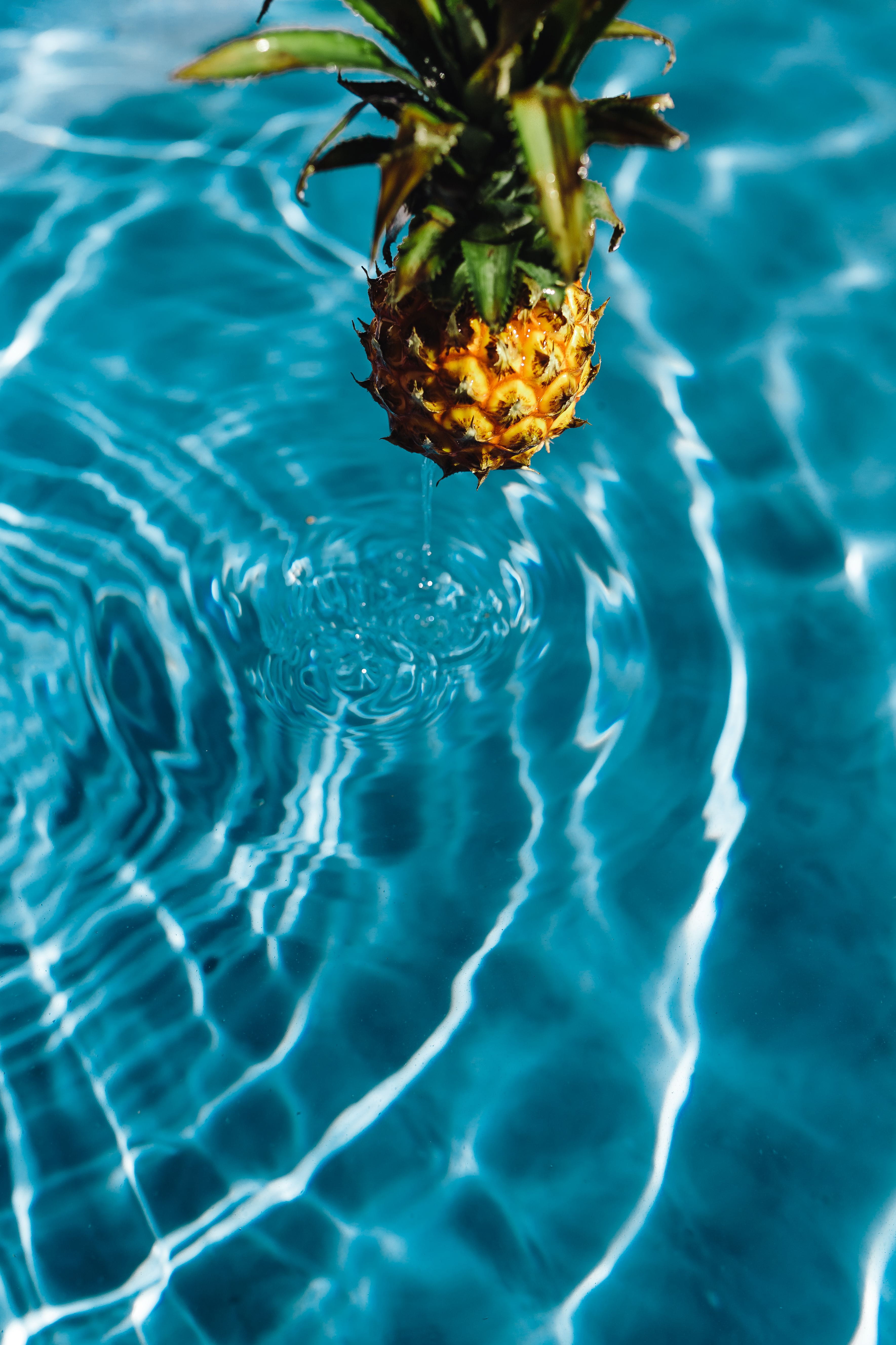 pool, rippled, outdoors, nature, day, close-up, no people, above, tropical, flower, high angle view, fresh, growth, plant, water, pineapples, waterfront, Phone HD Wallpaper