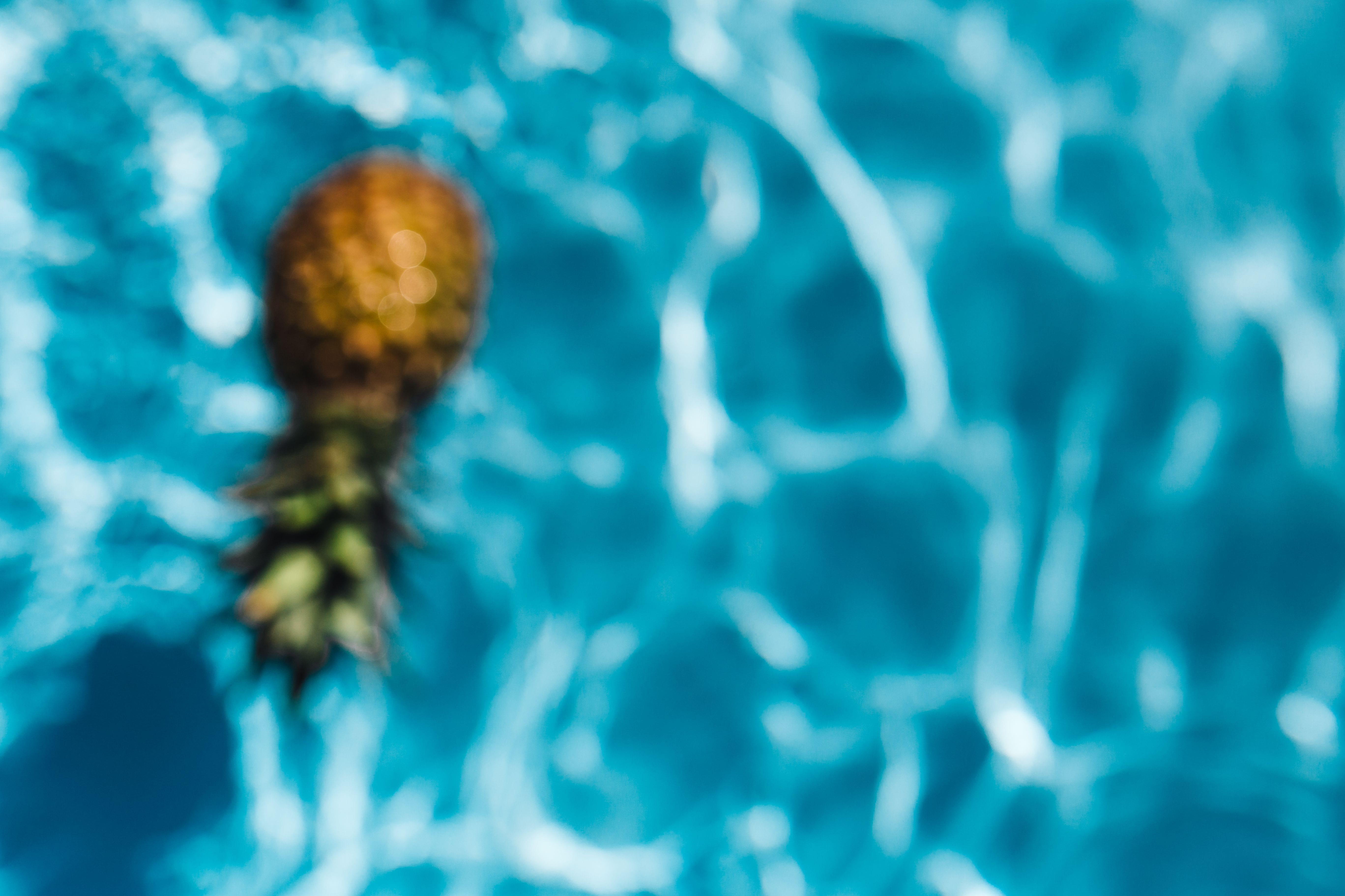 animals in the wild, pool, copyspace, outdoor, animal wildlife, nature, above, animal, 5K, fruits, outdoors, day, fresh, pineapple, water, tropical, sea, HD Wallpaper