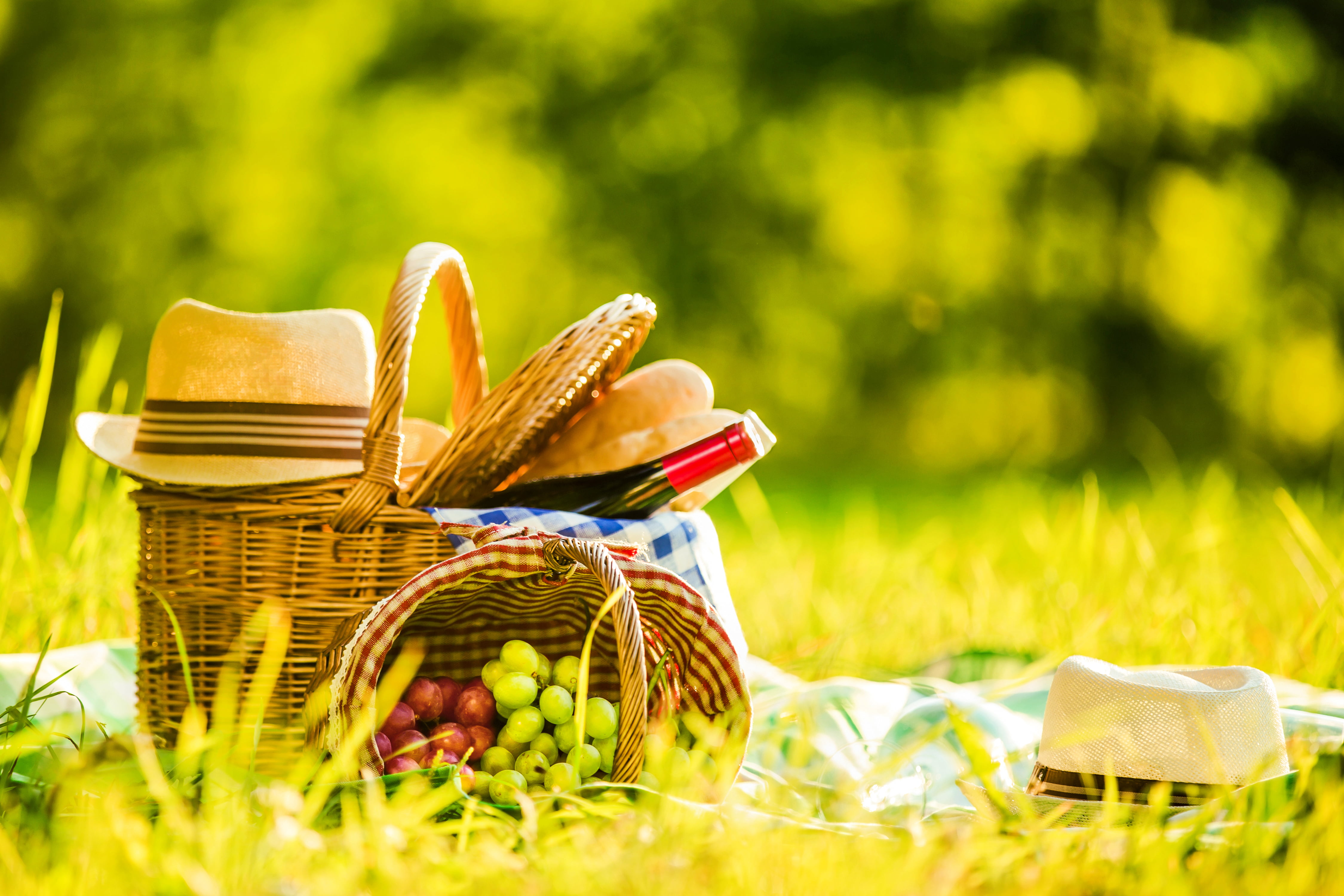food, green color, surface level, food and drink, container, bread, hat, wicker, selective focus, bottle, no people, day, glade, field, brown, wine, picnic basket, HD Wallpaper