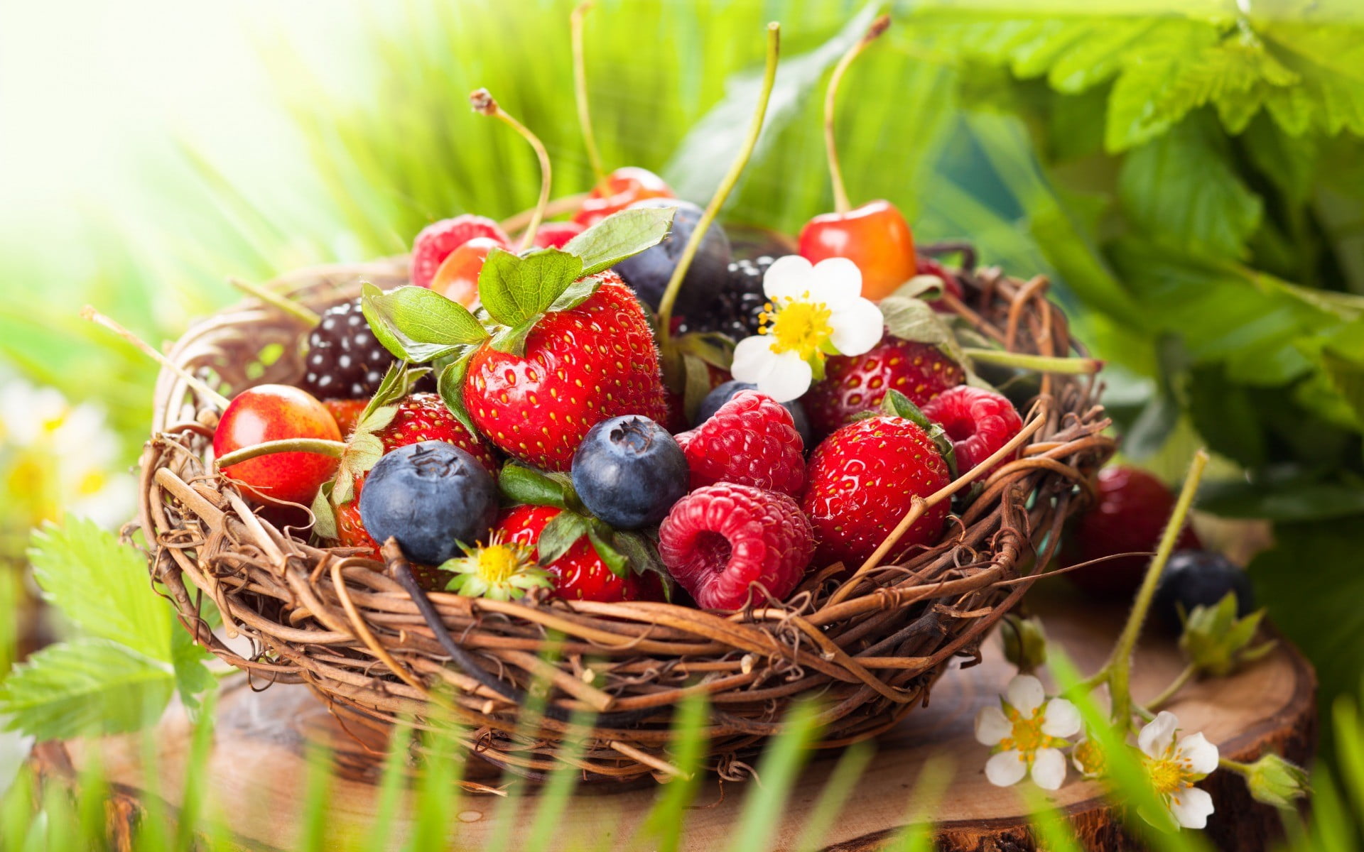 berry fruit, food and drink, plant, container, healthy eating, basket, 1080P, plant part, lunch, selective focus, no people, blueberries, agriculture, HD Wallpaper